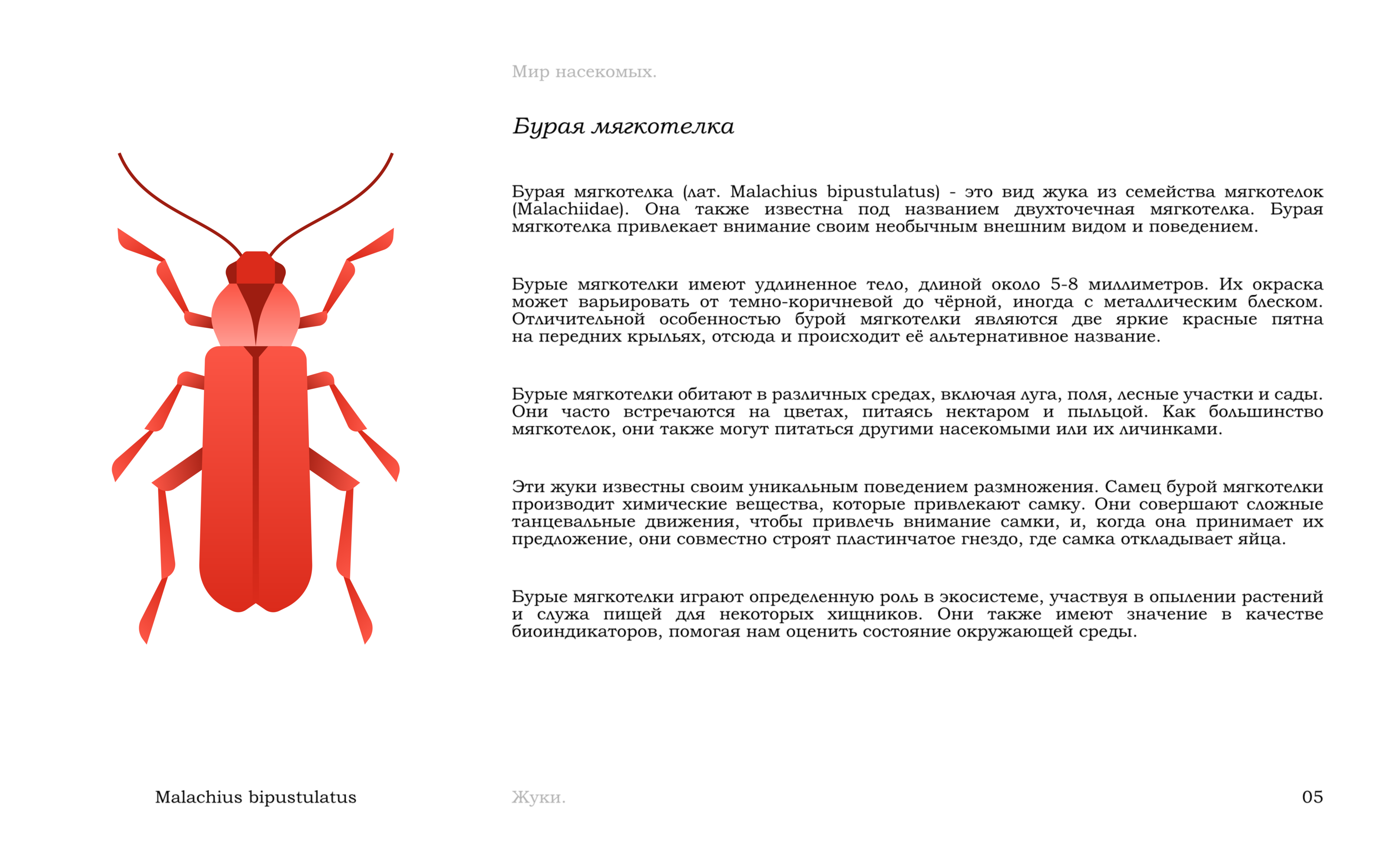 Жуки — Изображение №8 — Иллюстрация, Графика на Dprofile