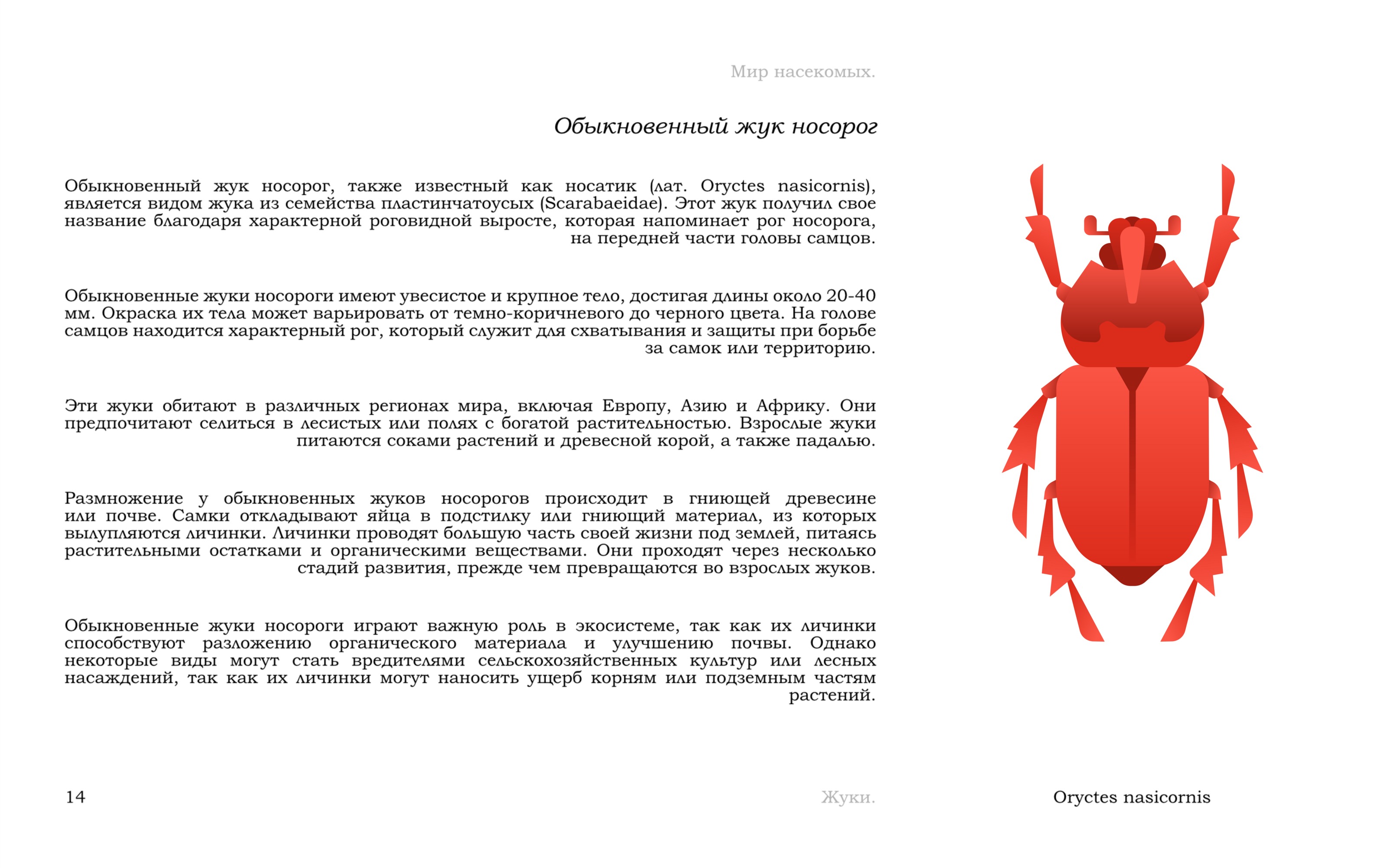 Жуки — Изображение №17 — Иллюстрация, Графика на Dprofile