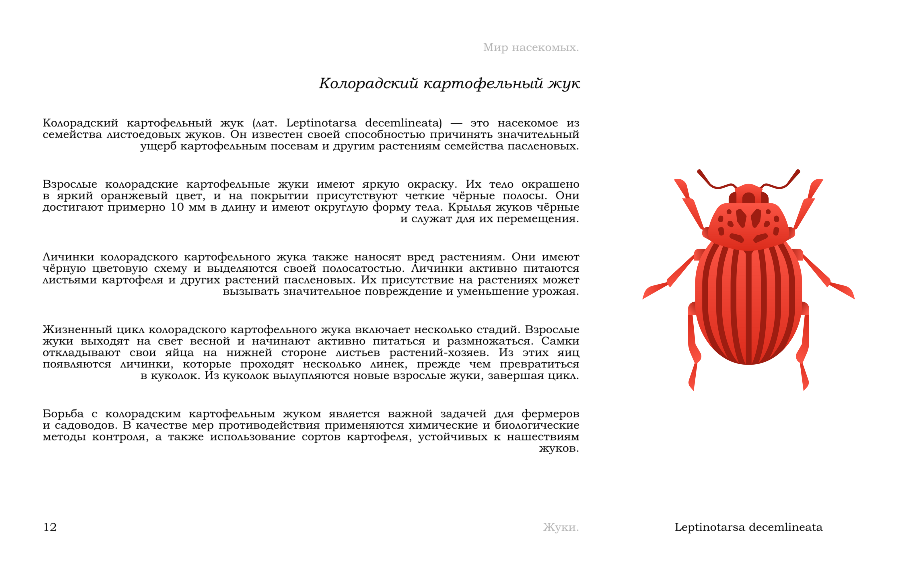 Жуки — Изображение №15 — Иллюстрация, Графика на Dprofile