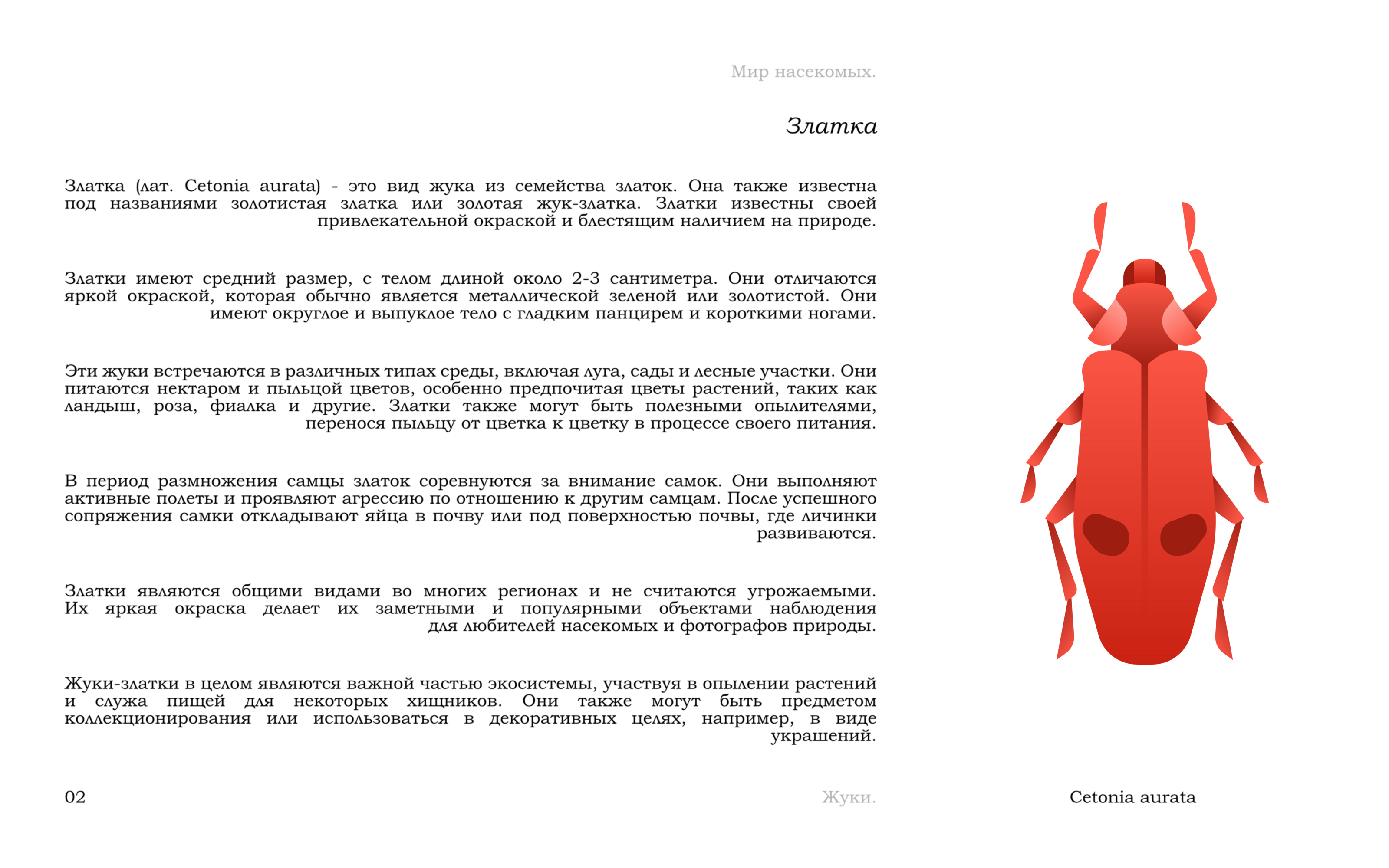 Жуки — Изображение №5 — Иллюстрация, Графика на Dprofile