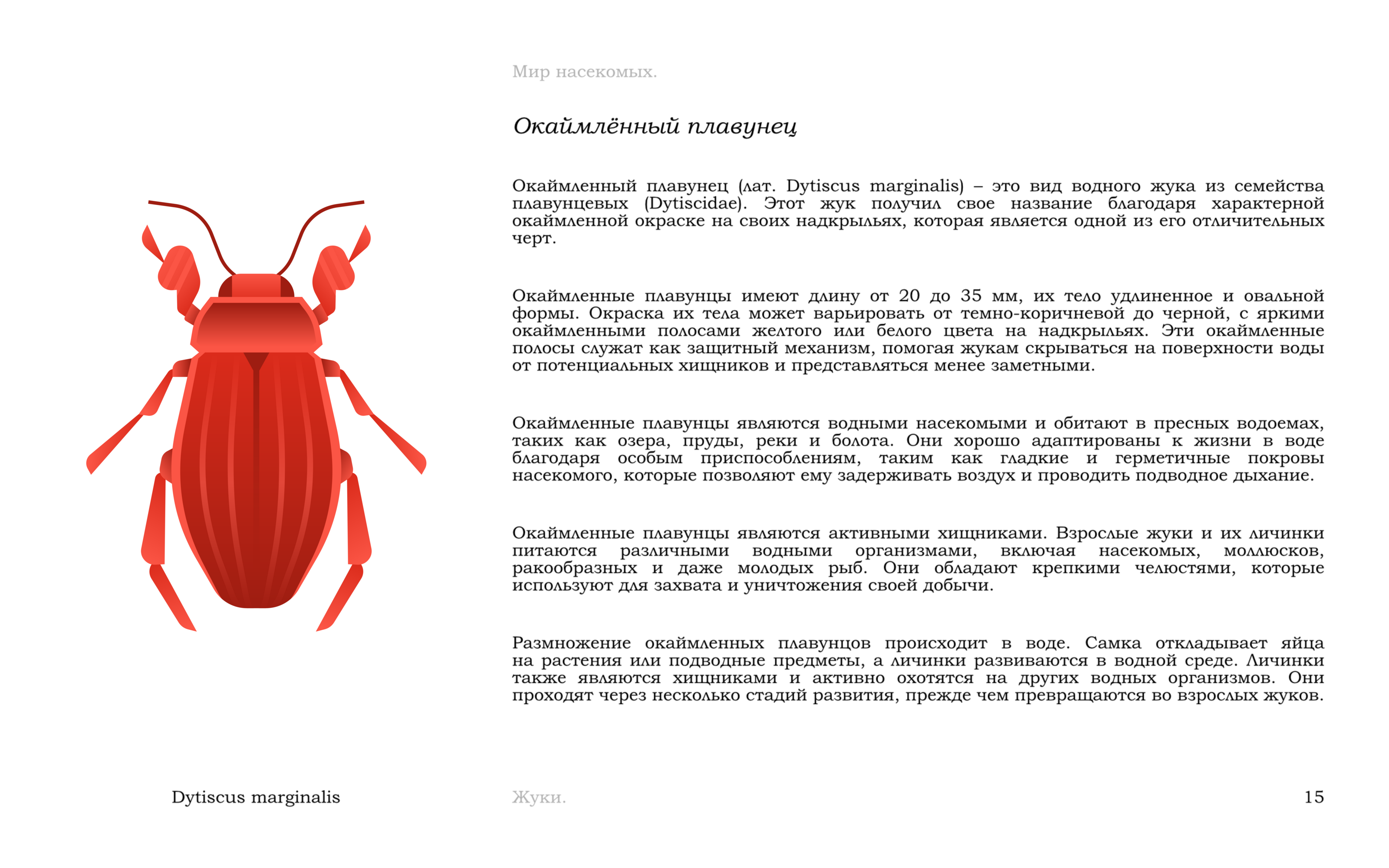 Жуки — Изображение №18 — Иллюстрация, Графика на Dprofile