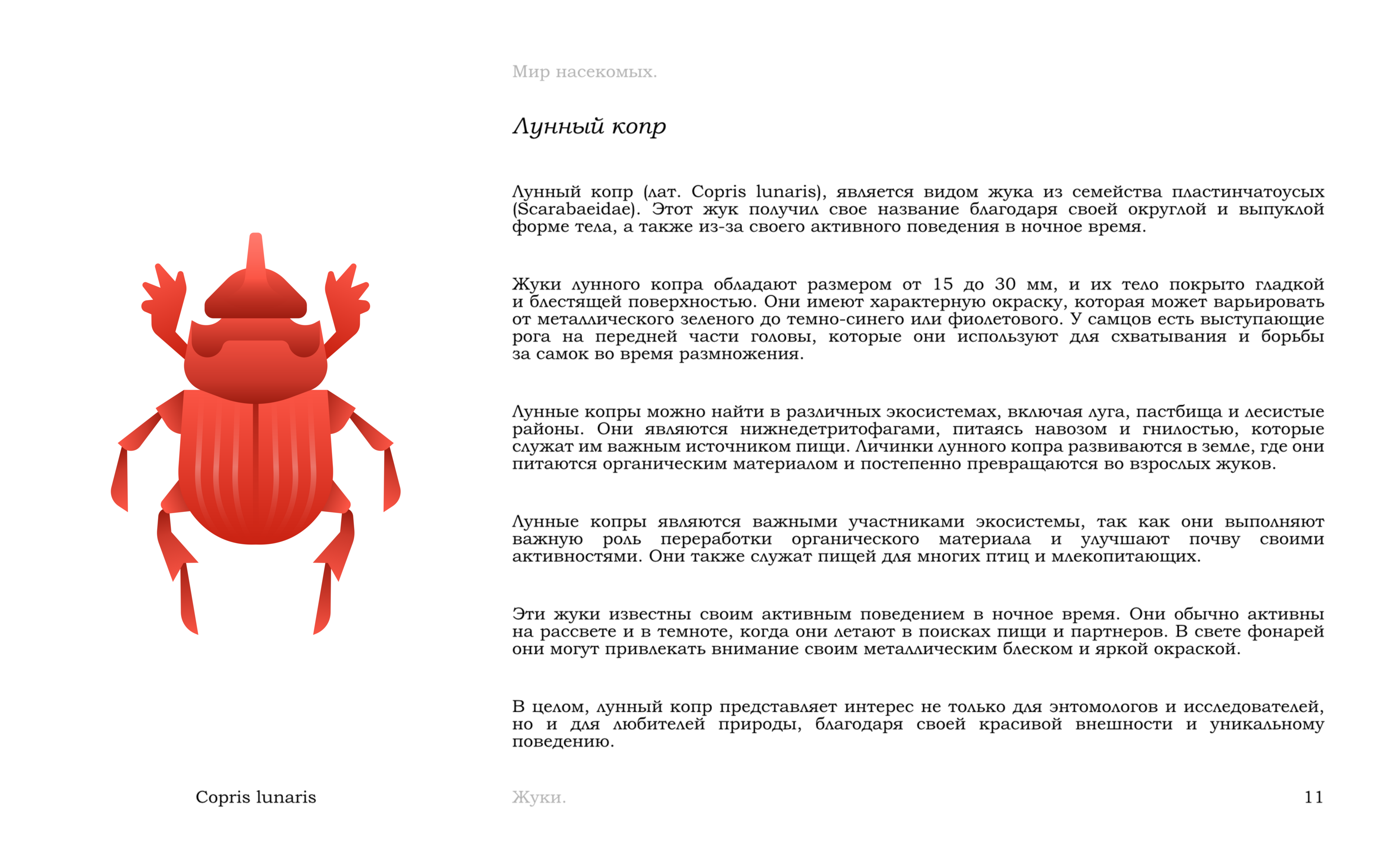 Жуки — Изображение №14 — Иллюстрация, Графика на Dprofile