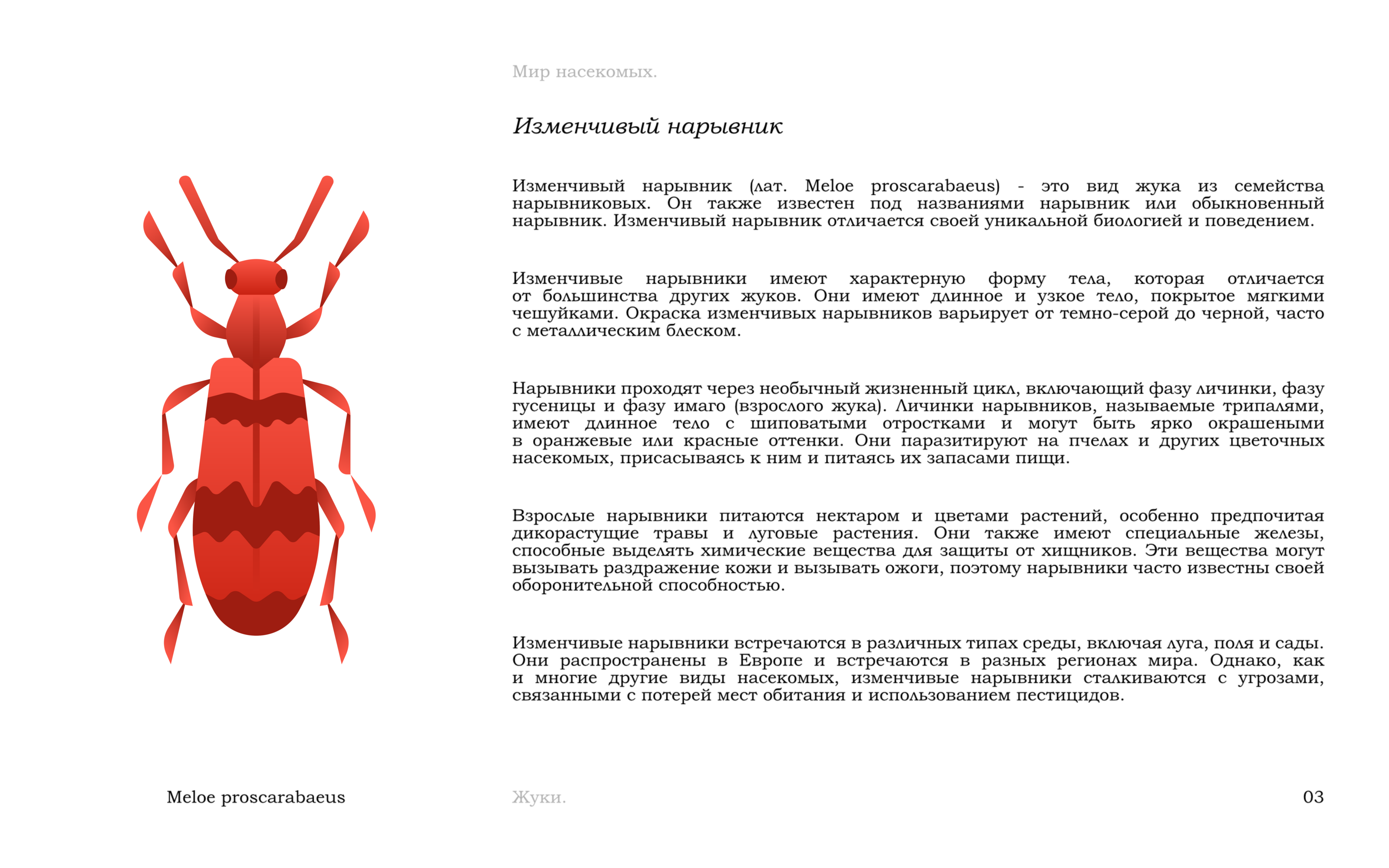 Жуки — Изображение №6 — Иллюстрация, Графика на Dprofile