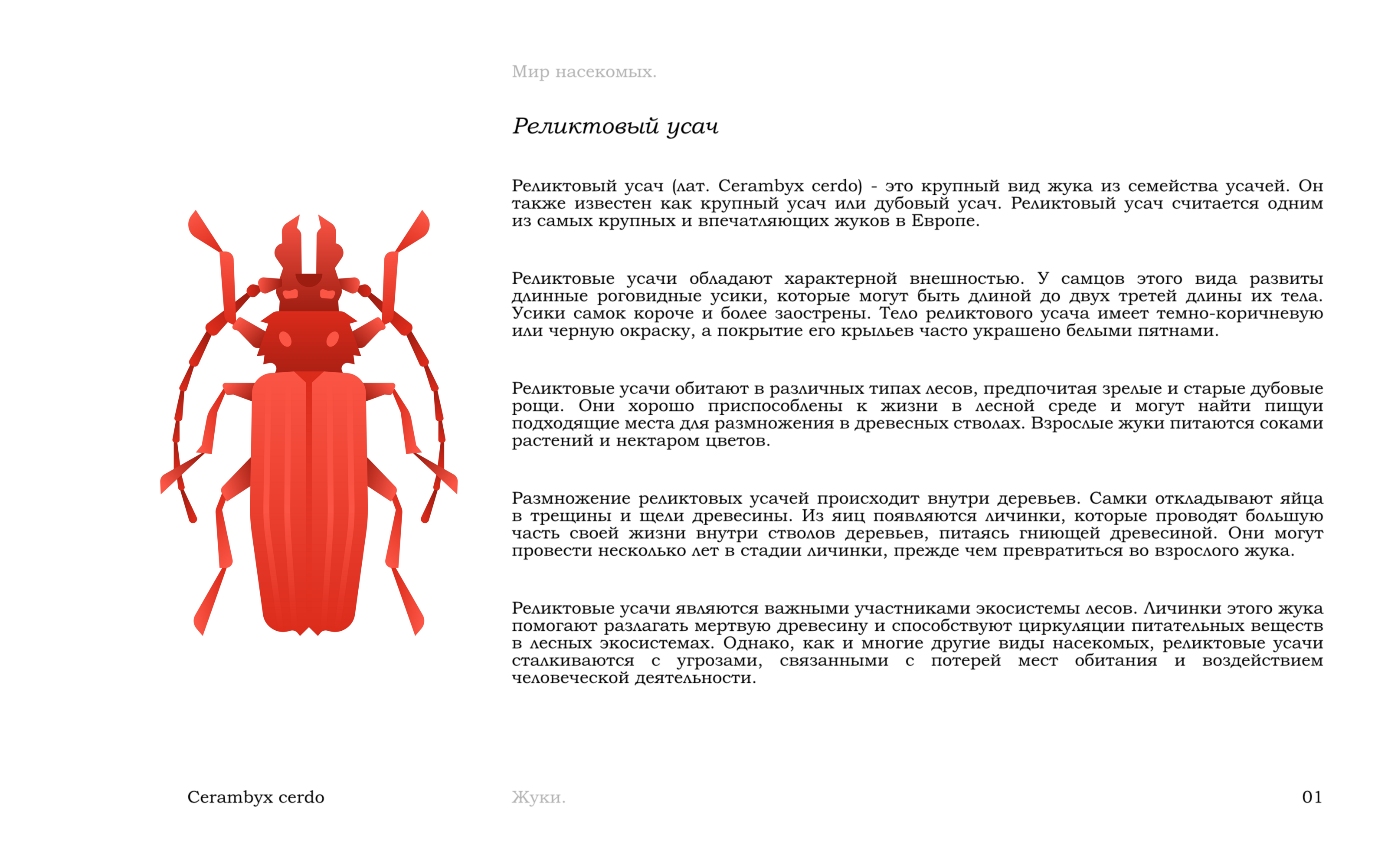 Жуки — Изображение №4 — Иллюстрация, Графика на Dprofile
