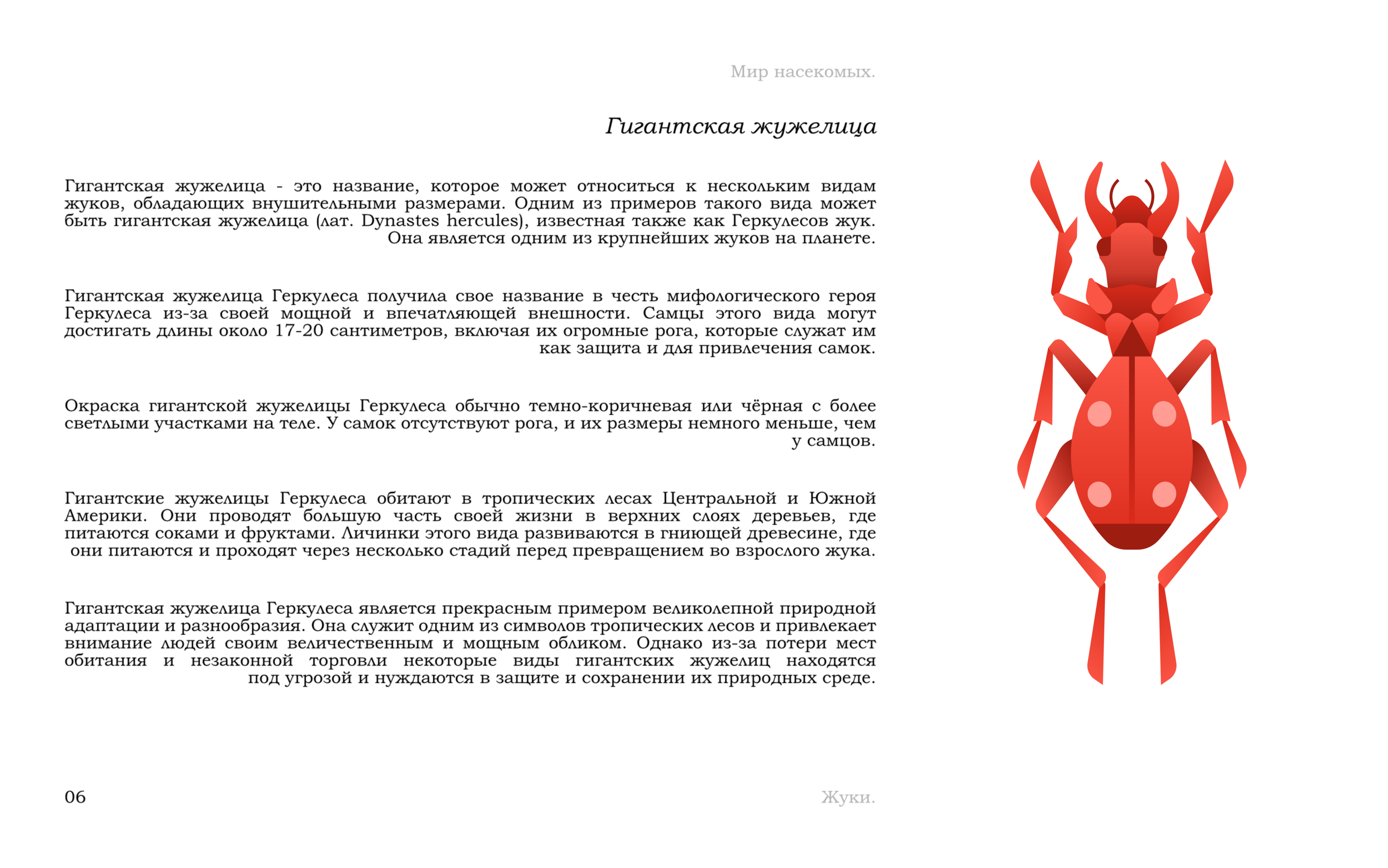 Жуки — Изображение №9 — Иллюстрация, Графика на Dprofile