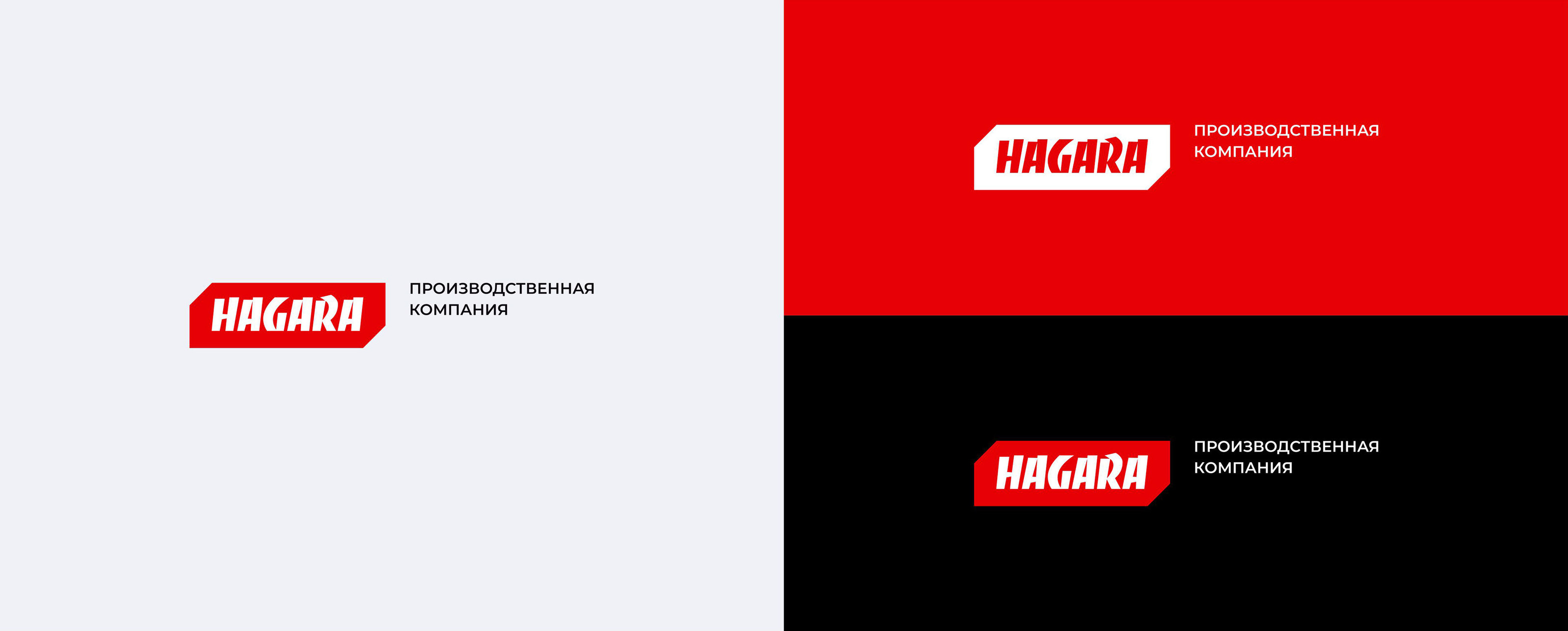 "HAGARA" / производство печей и очагов — Изображение №2 — Брендинг, Графика на Dprofile