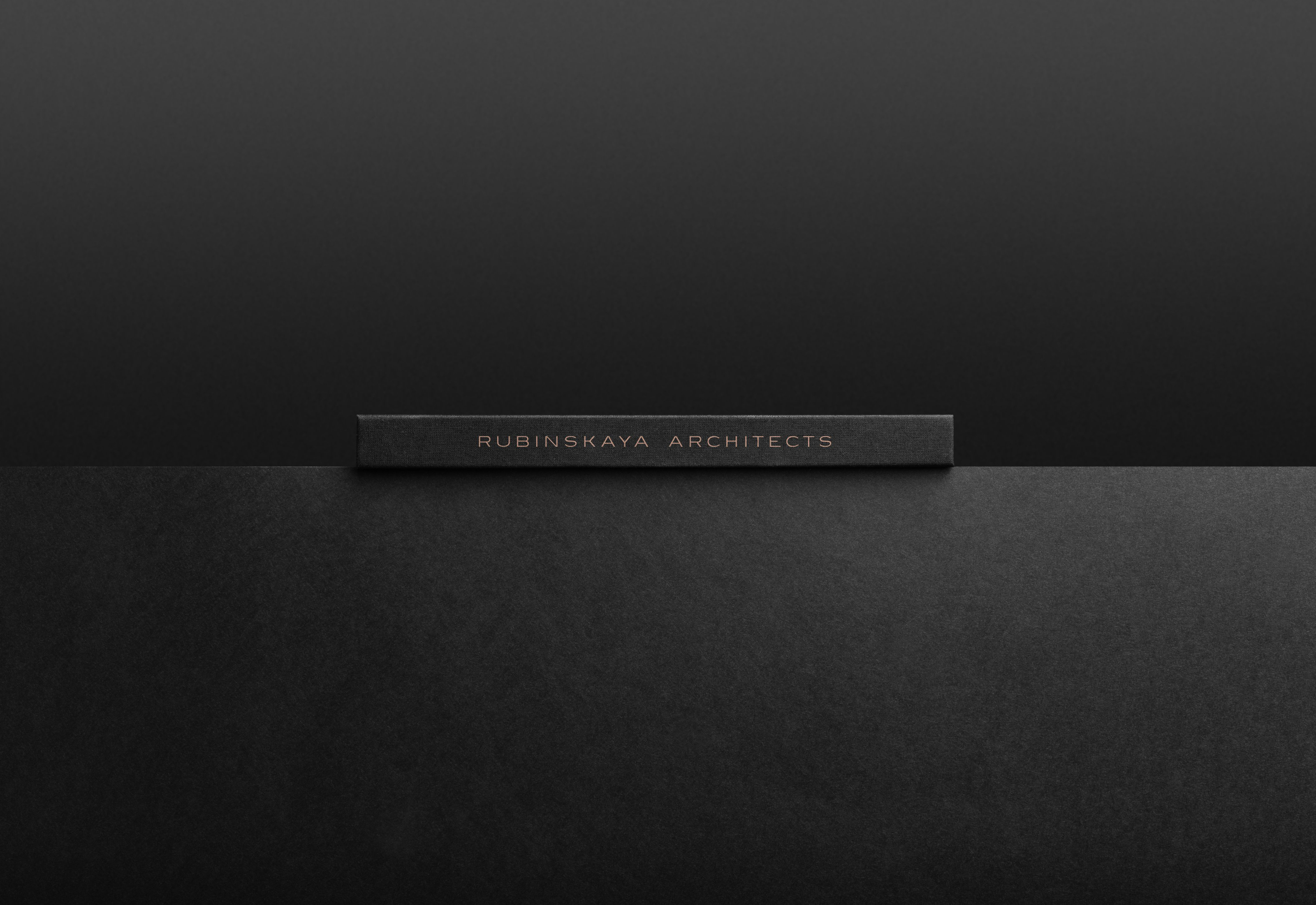 "RUBINSKAYA ARCHITECTS" /  interior design / — Изображение №8 — Брендинг на Dprofile