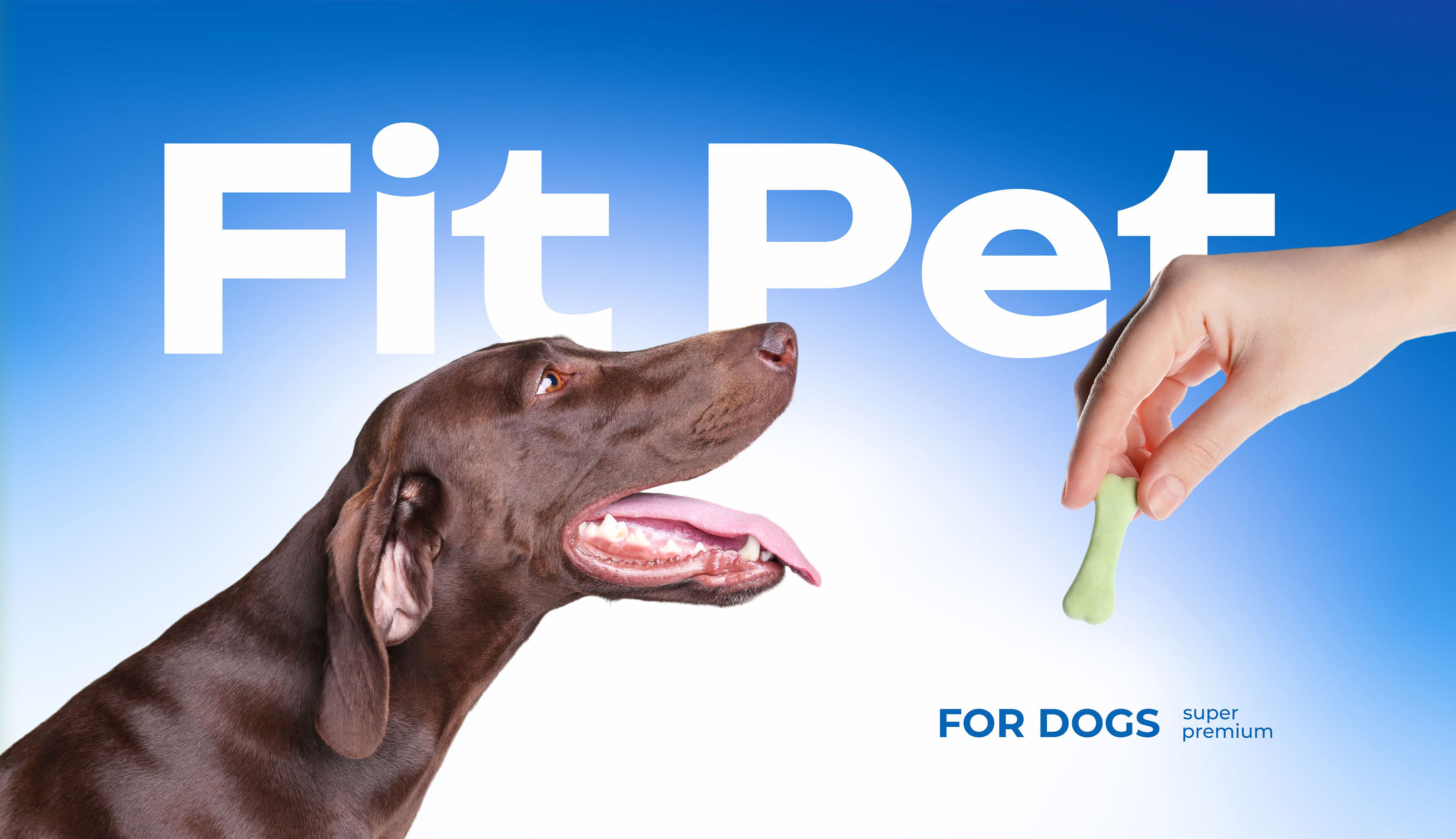 "FIT PET" / упаковка кормов для животных — Изображение №7 — Брендинг на Dprofile