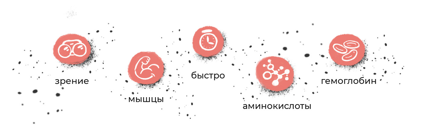 Упаковка для фермерских продуктов — Изображение №8 — Брендинг, Иллюстрация на Dprofile