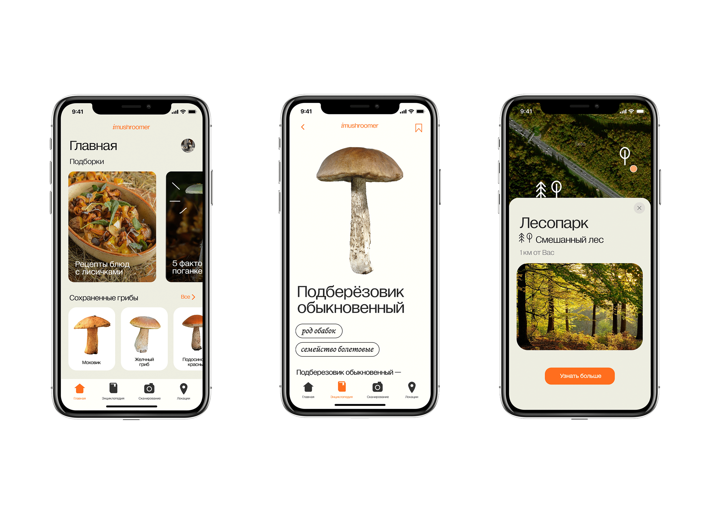 iMUSHROOMER APP | ПРИЛОЖЕНИЕ ДЛЯ СБОРА ГРИБОВ — Изображение №4 — Интерфейсы на Dprofile