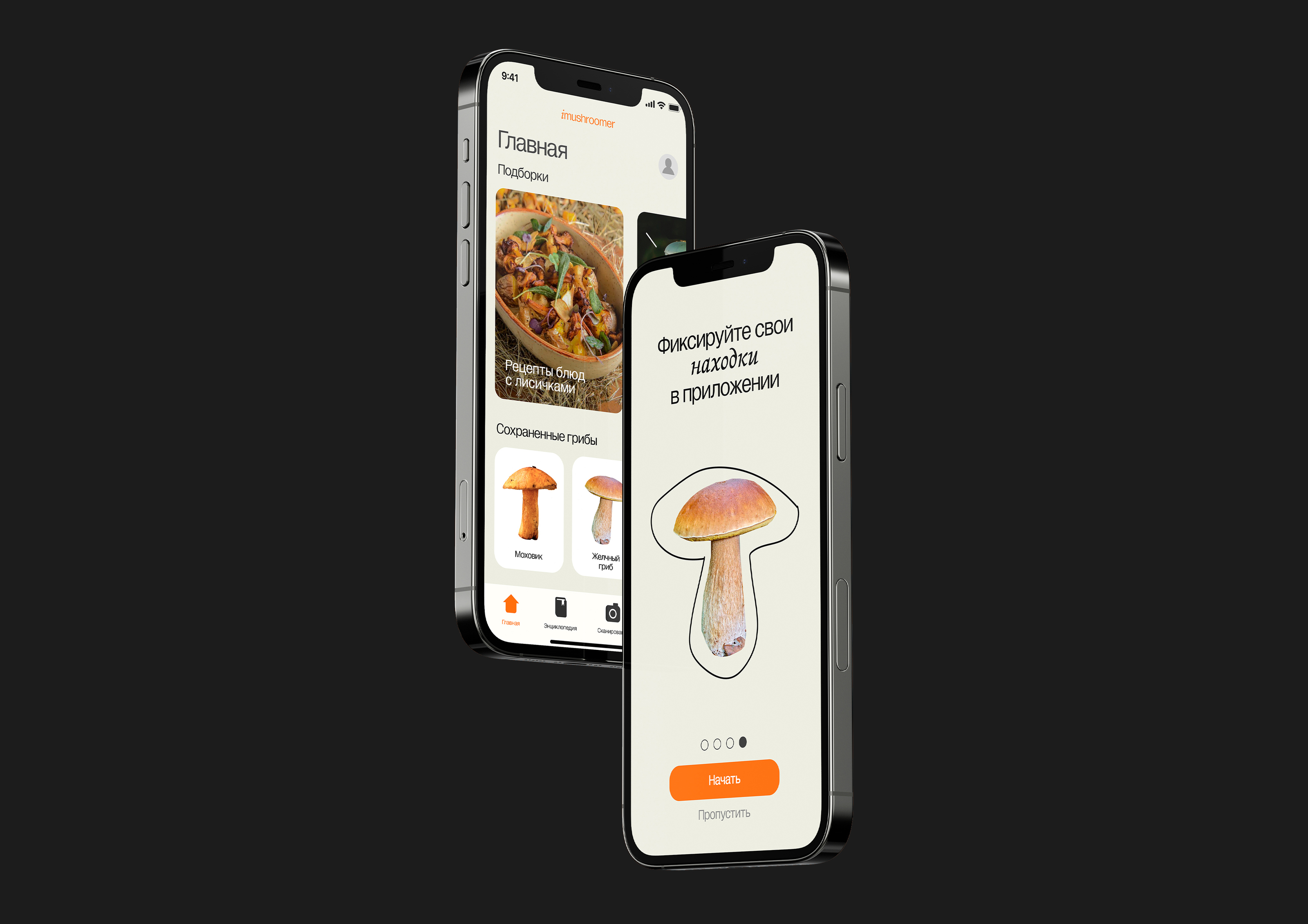 iMUSHROOMER APP | ПРИЛОЖЕНИЕ ДЛЯ СБОРА ГРИБОВ — Изображение №1 — Интерфейсы на Dprofile