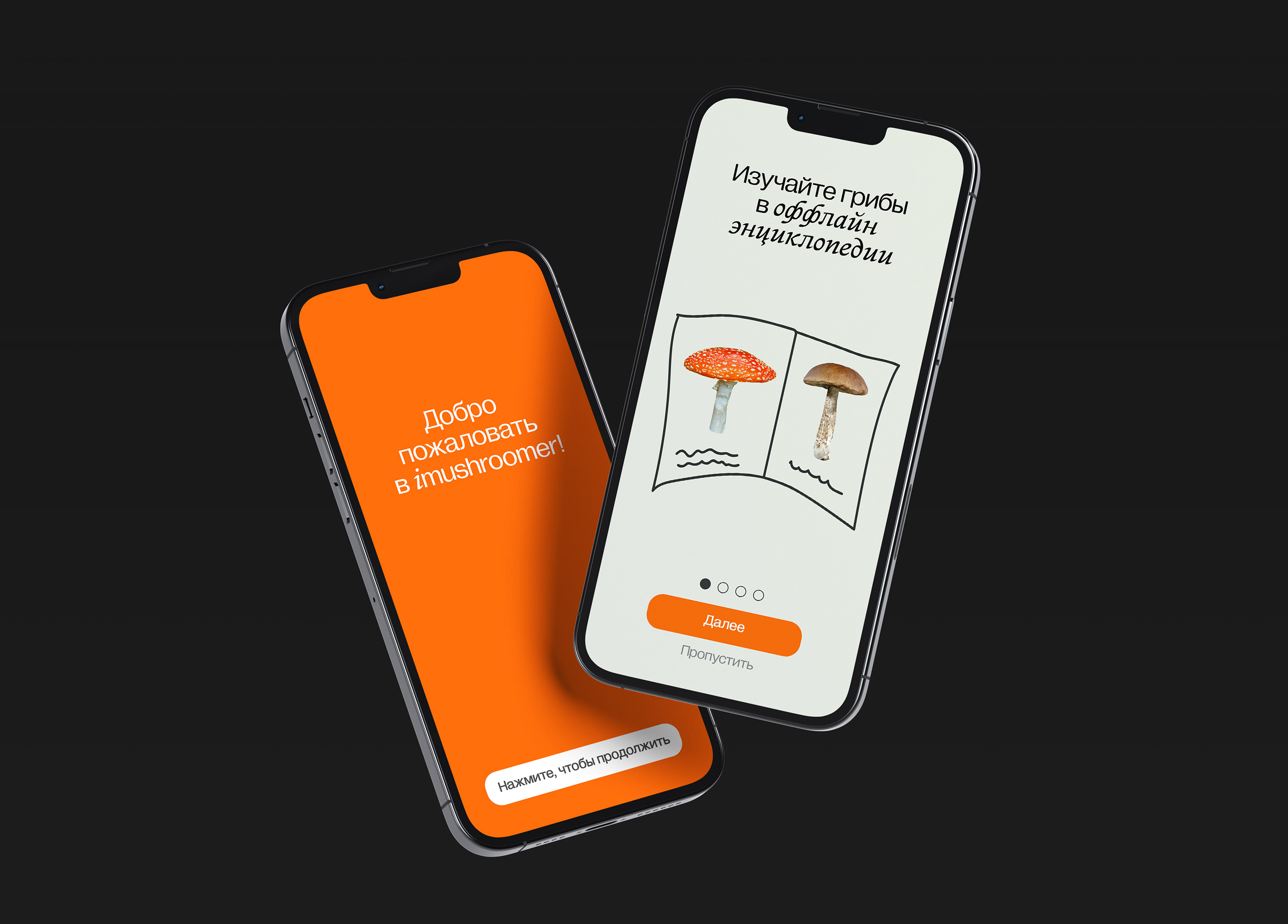 iMUSHROOMER APP | ПРИЛОЖЕНИЕ ДЛЯ СБОРА ГРИБОВ — Изображение №3 — Интерфейсы на Dprofile