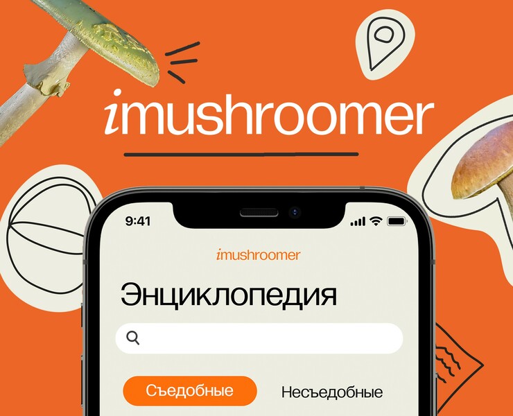 iMUSHROOMER APP | ПРИЛОЖЕНИЕ ДЛЯ СБОРА ГРИБОВ — Интерфейсы на Dprofile