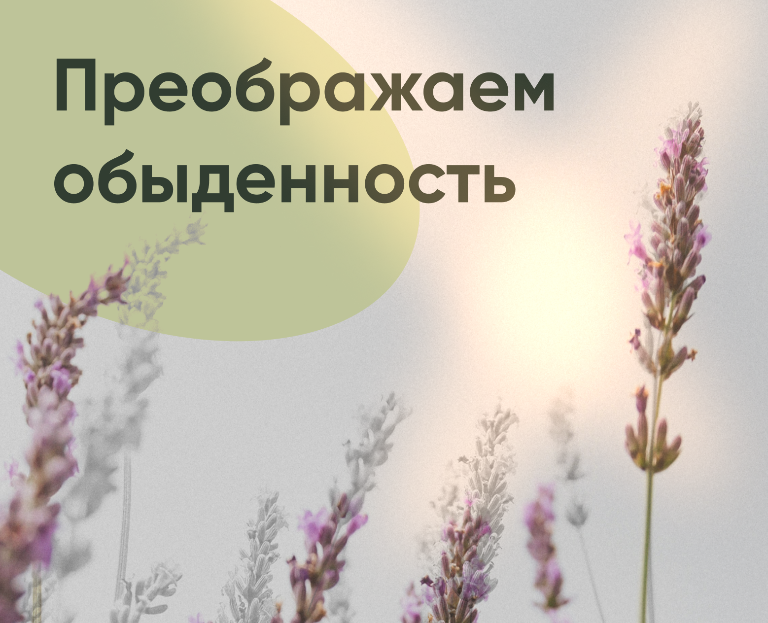 Рекламные баннеры для цветочного бренда — Маркетинг на Dprofile