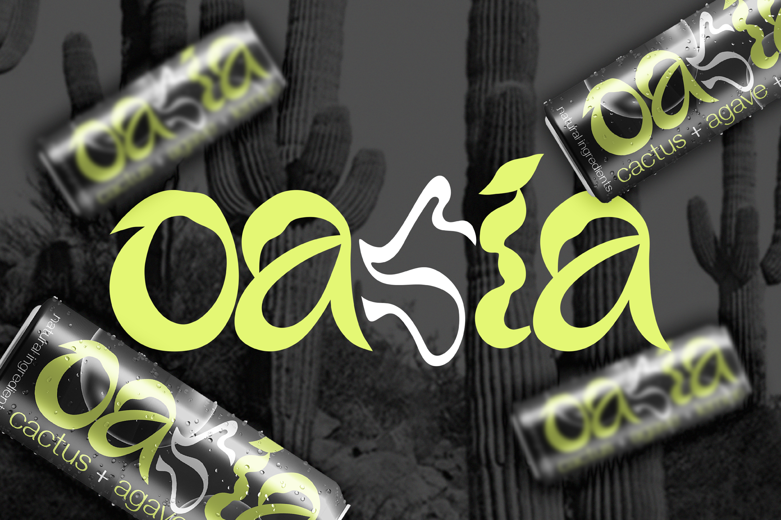 Brand Identity & Package | OASIA — Изображение №1 — Брендинг на Dprofile