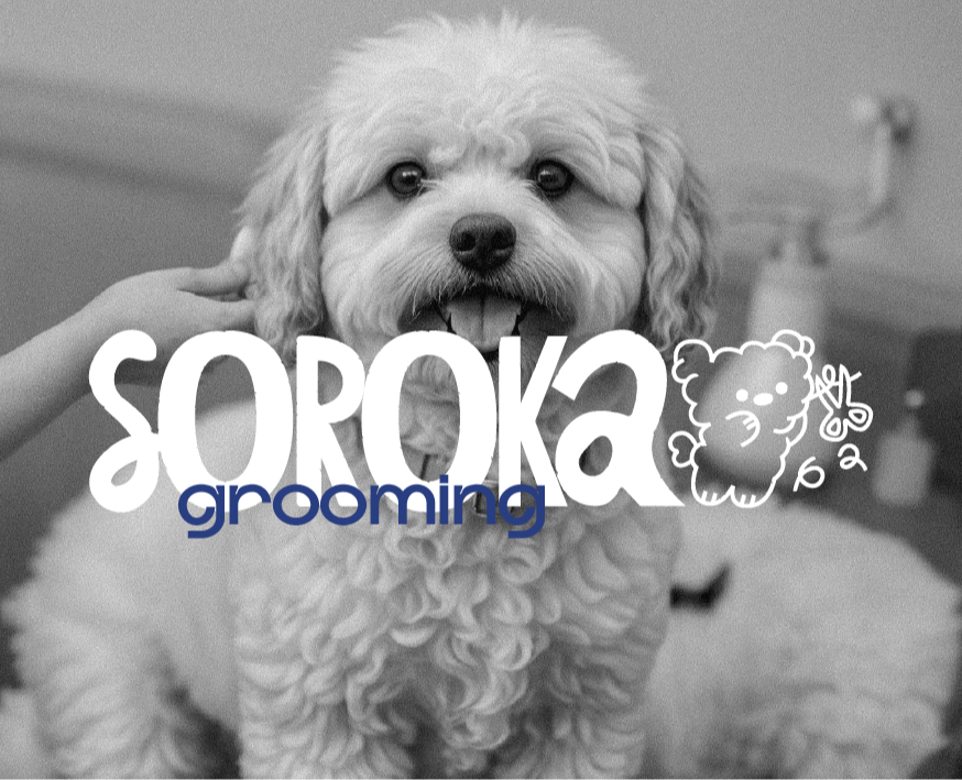 Brand Identity | SOROKA — Брендинг, Иллюстрация на Dprofile