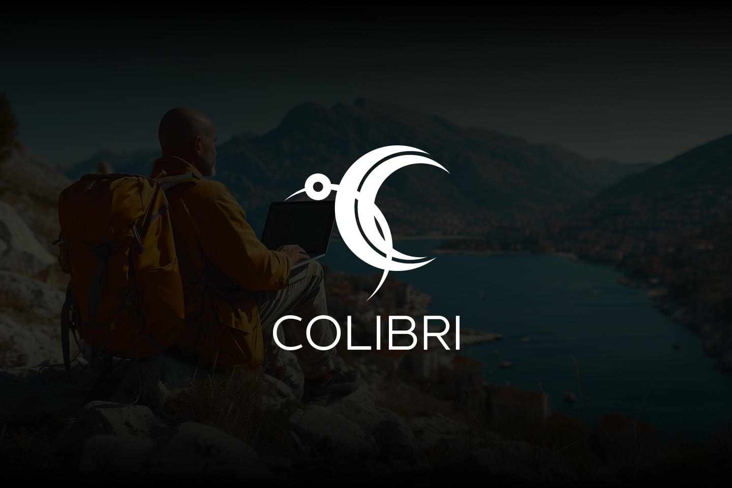 Colibri — Изображение №1 — Брендинг на Dprofile
