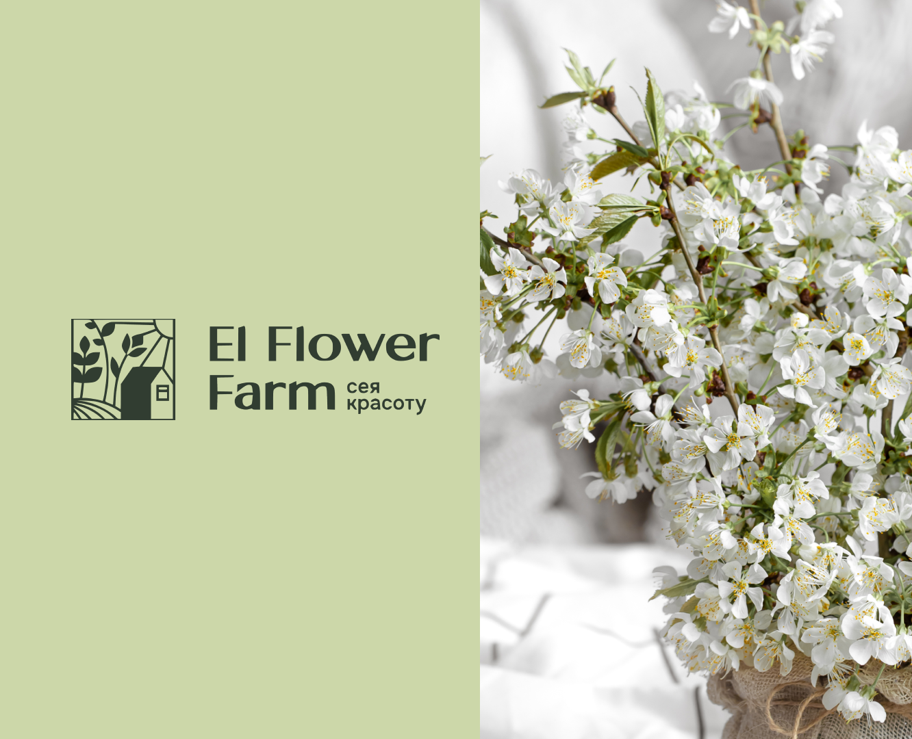 El Flower Farm - цветочная ферма — Графика на Dprofile