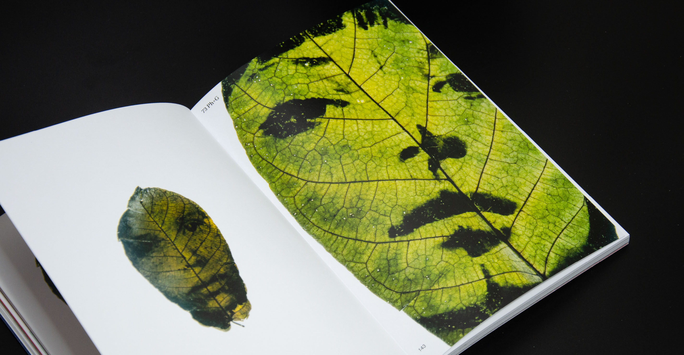 Light Prints // visual research // book design — Изображение №40 — Графика на Dprofile