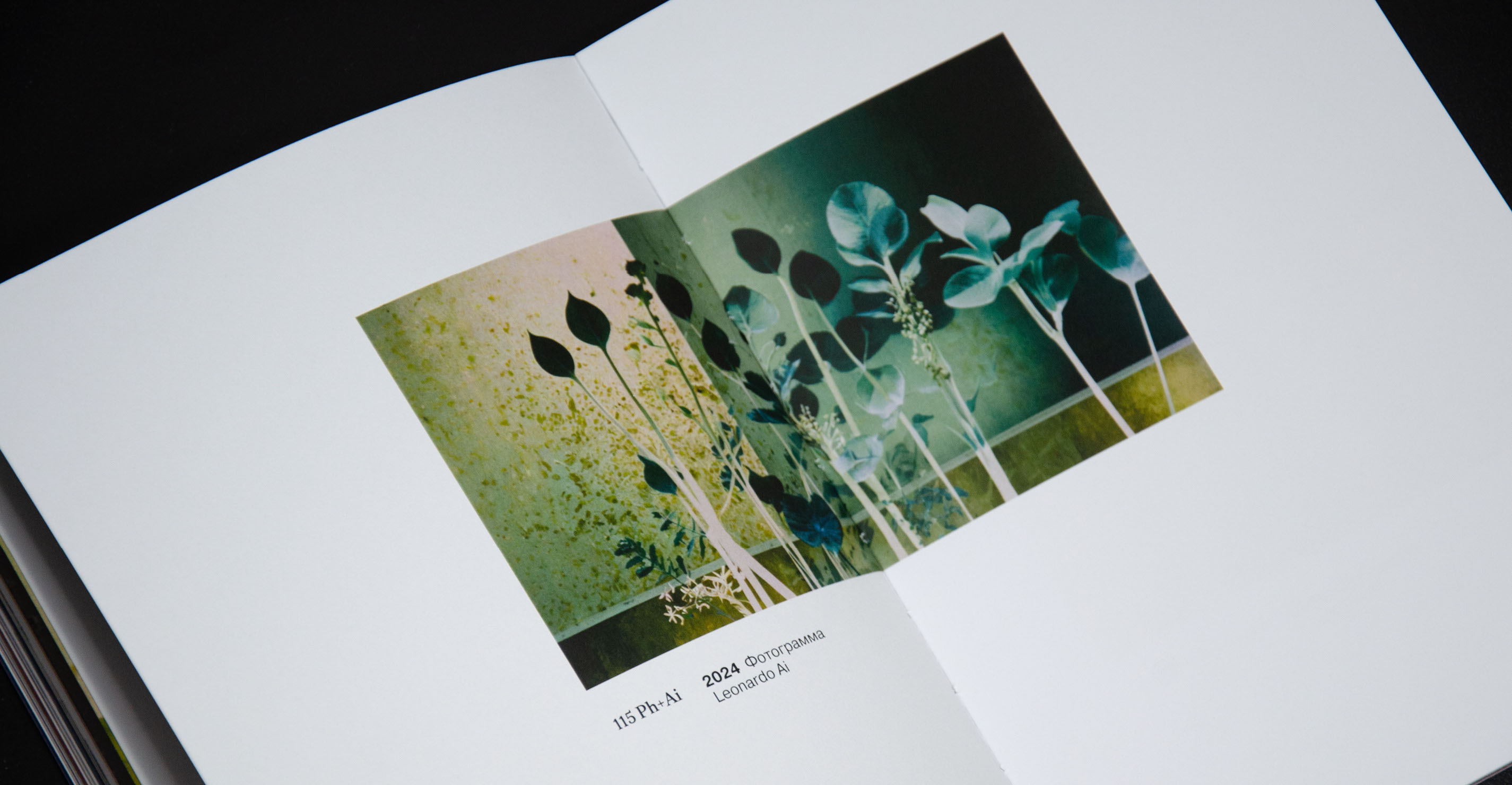 Light Prints // visual research // book design — Изображение №47 — Графика на Dprofile