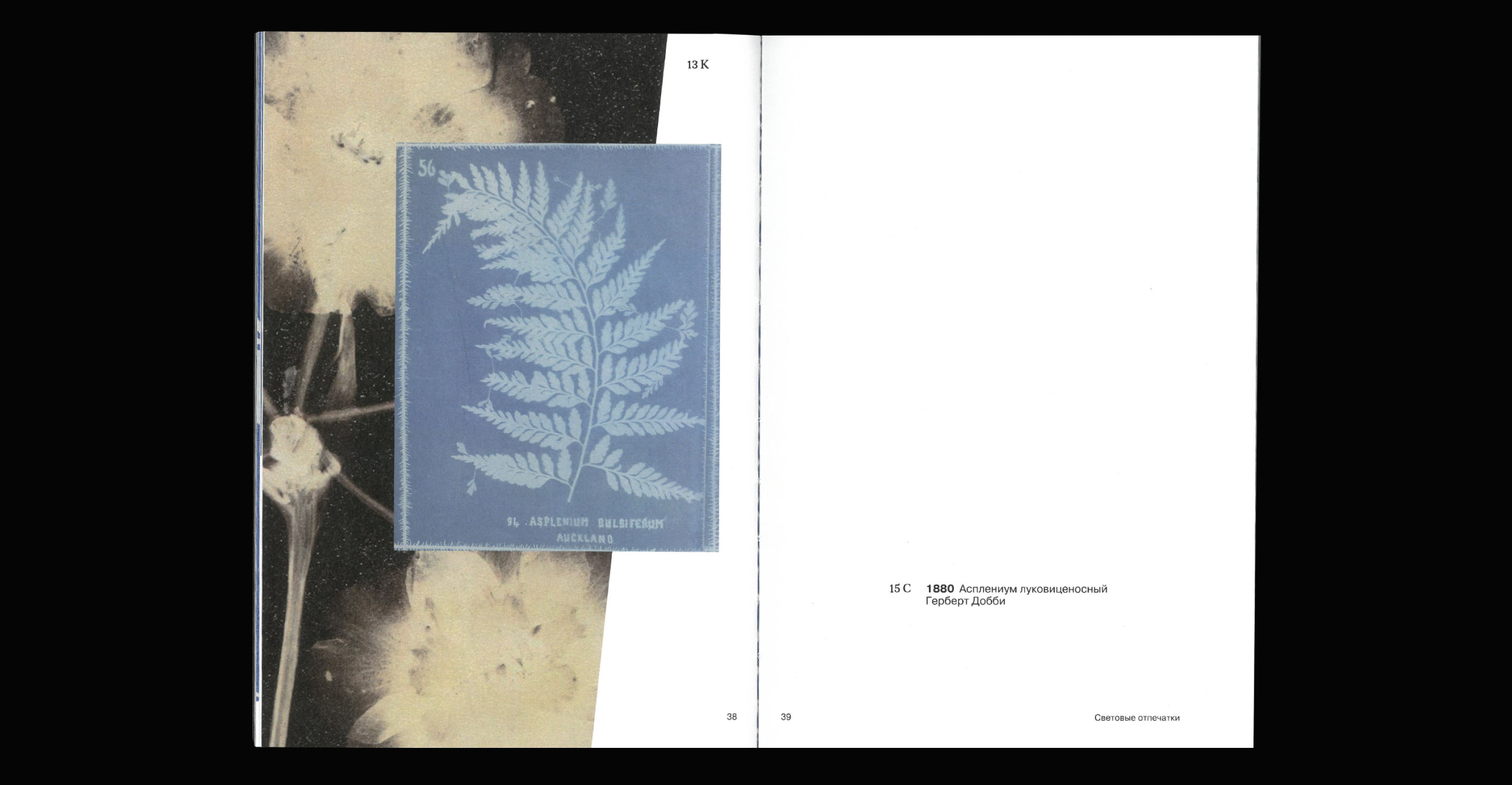 Light Prints // visual research // book design — Изображение №18 — Графика на Dprofile
