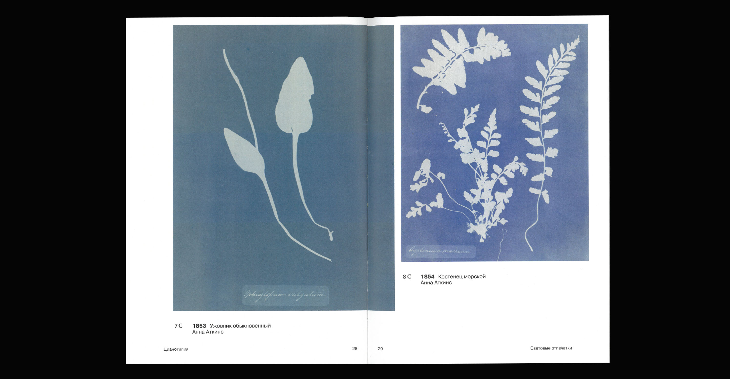 Light Prints // visual research // book design — Изображение №17 — Графика на Dprofile