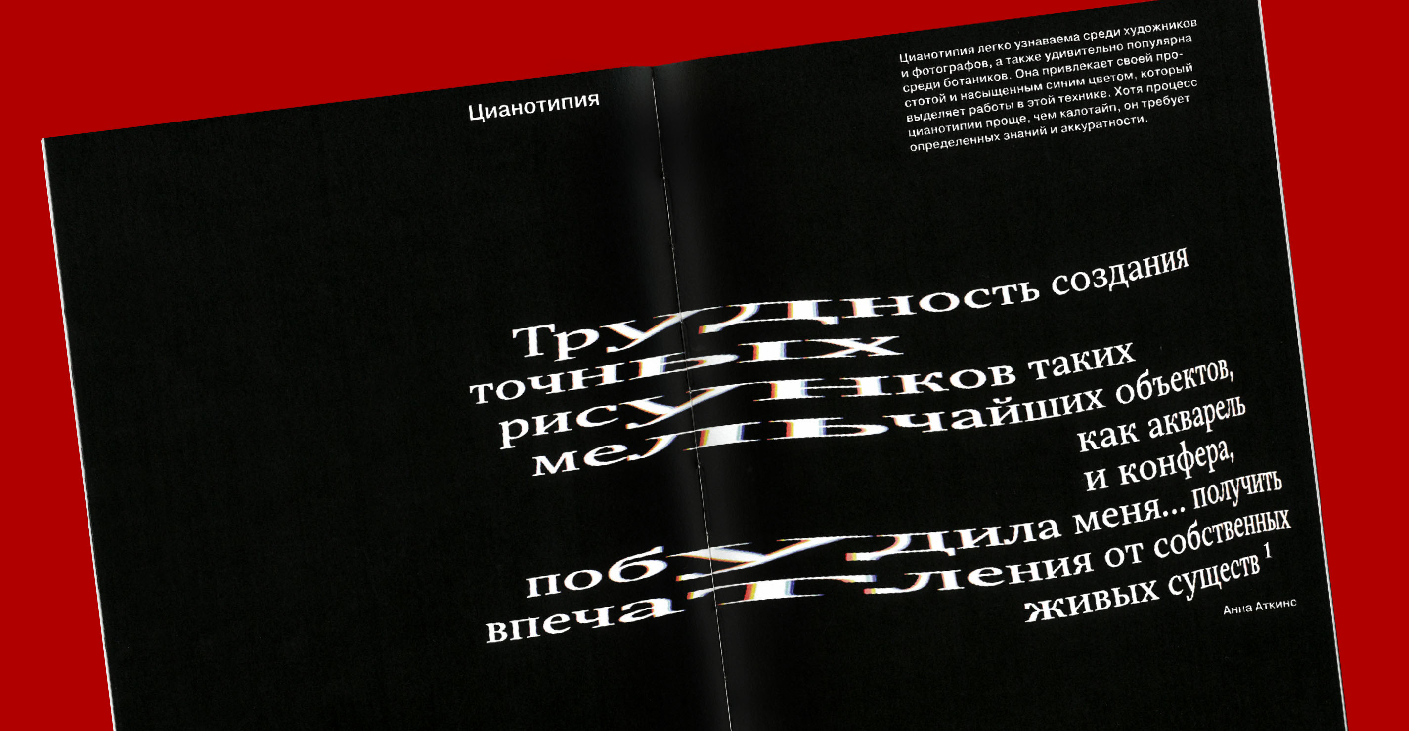 Light Prints // visual research // book design — Изображение №16 — Графика на Dprofile