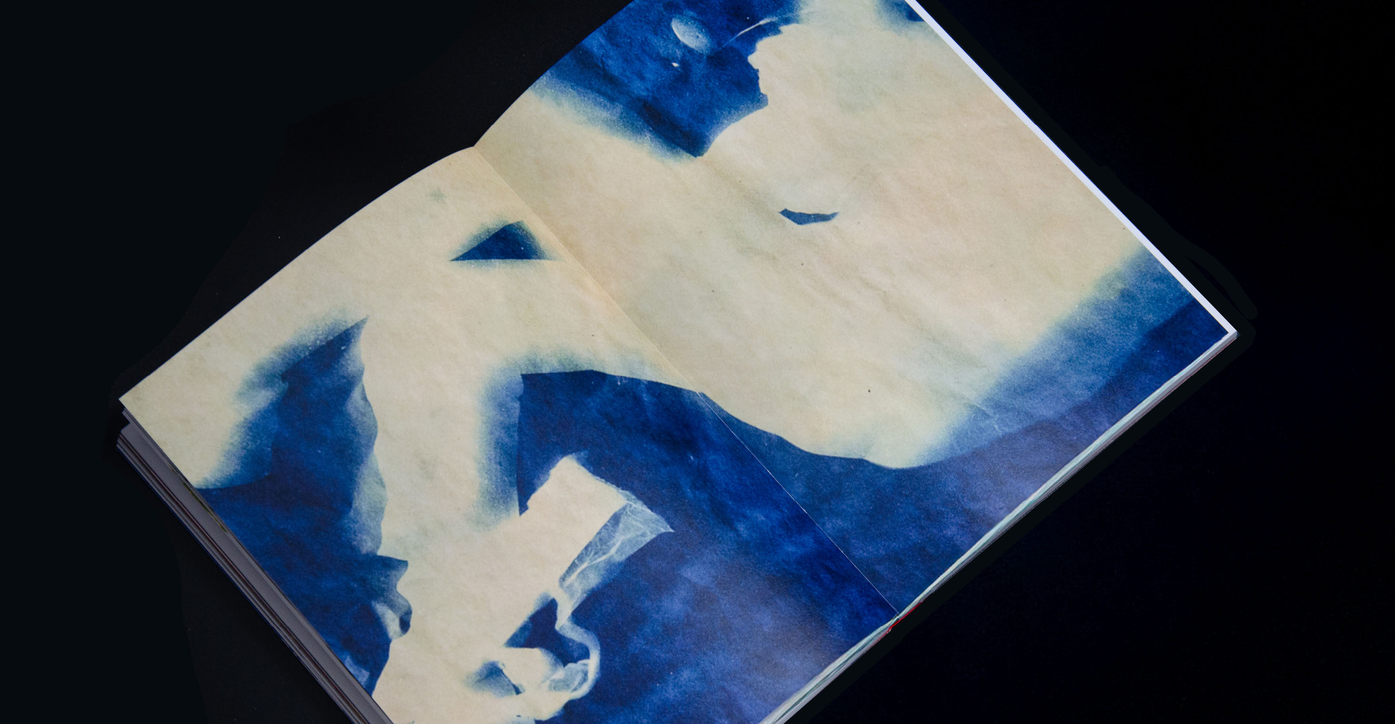 Light Prints // visual research // book design — Изображение №41 — Графика на Dprofile
