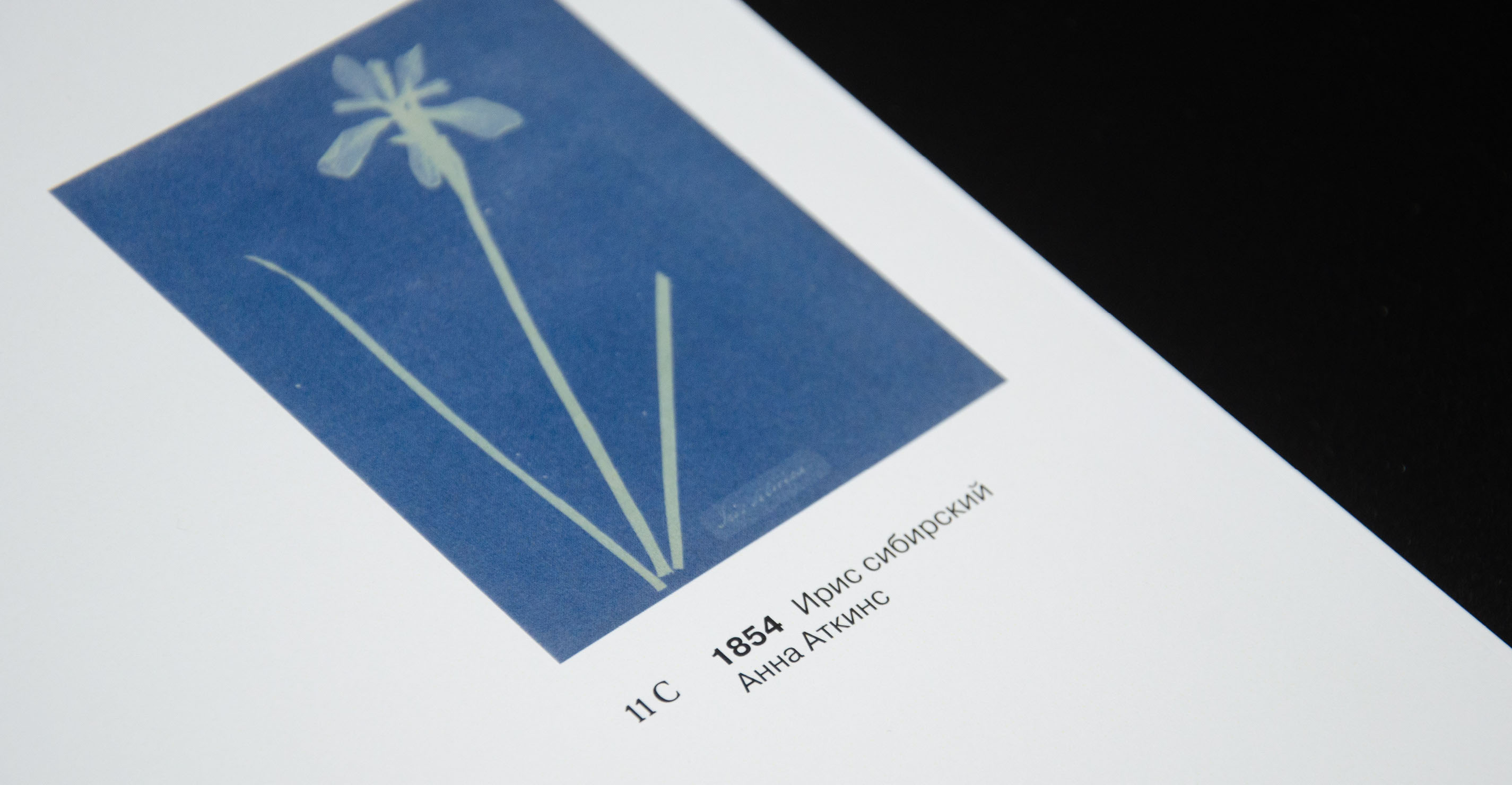 Light Prints // visual research // book design — Изображение №20 — Графика на Dprofile
