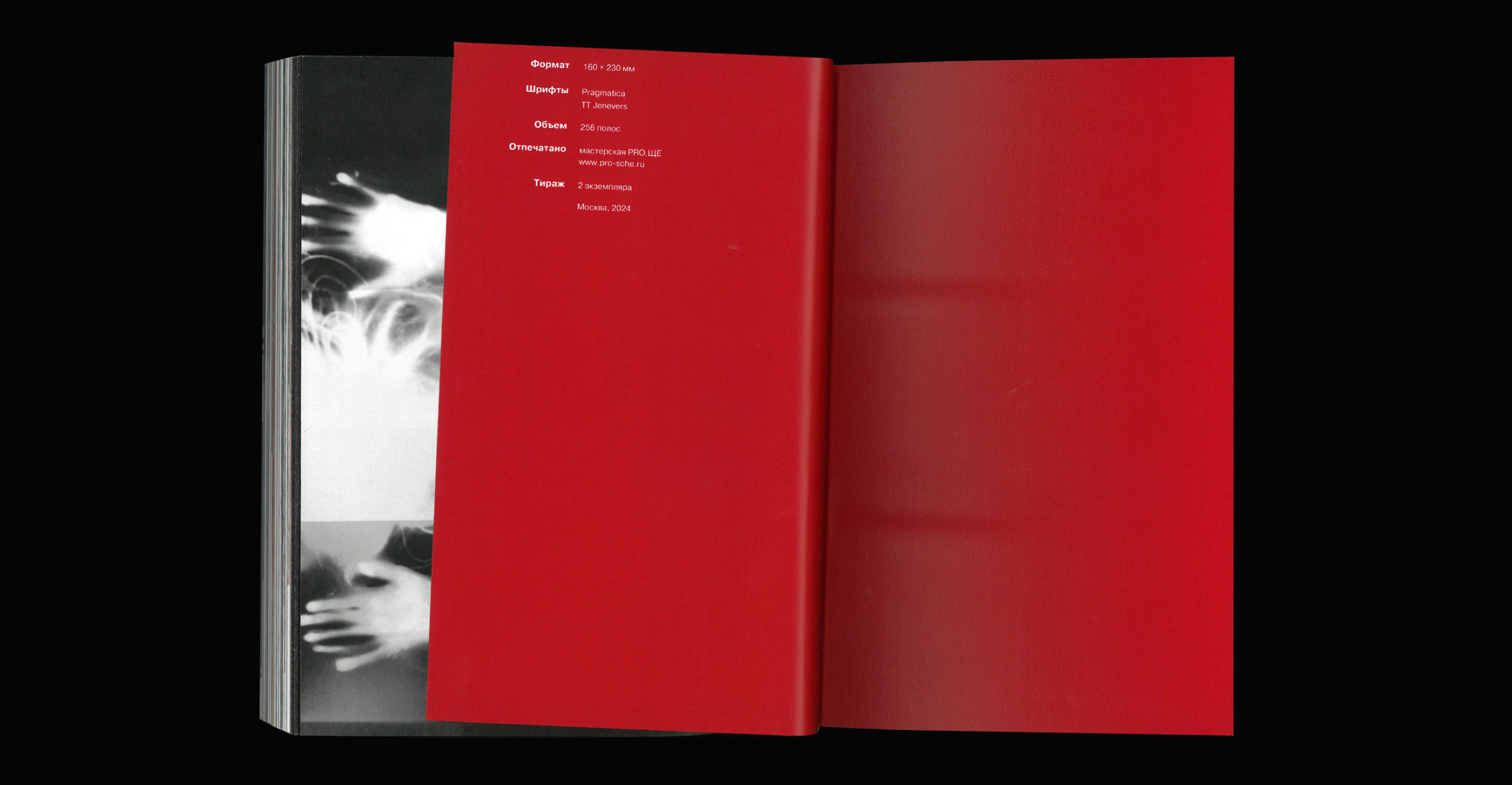Light Prints // visual research // book design — Изображение №51 — Графика на Dprofile
