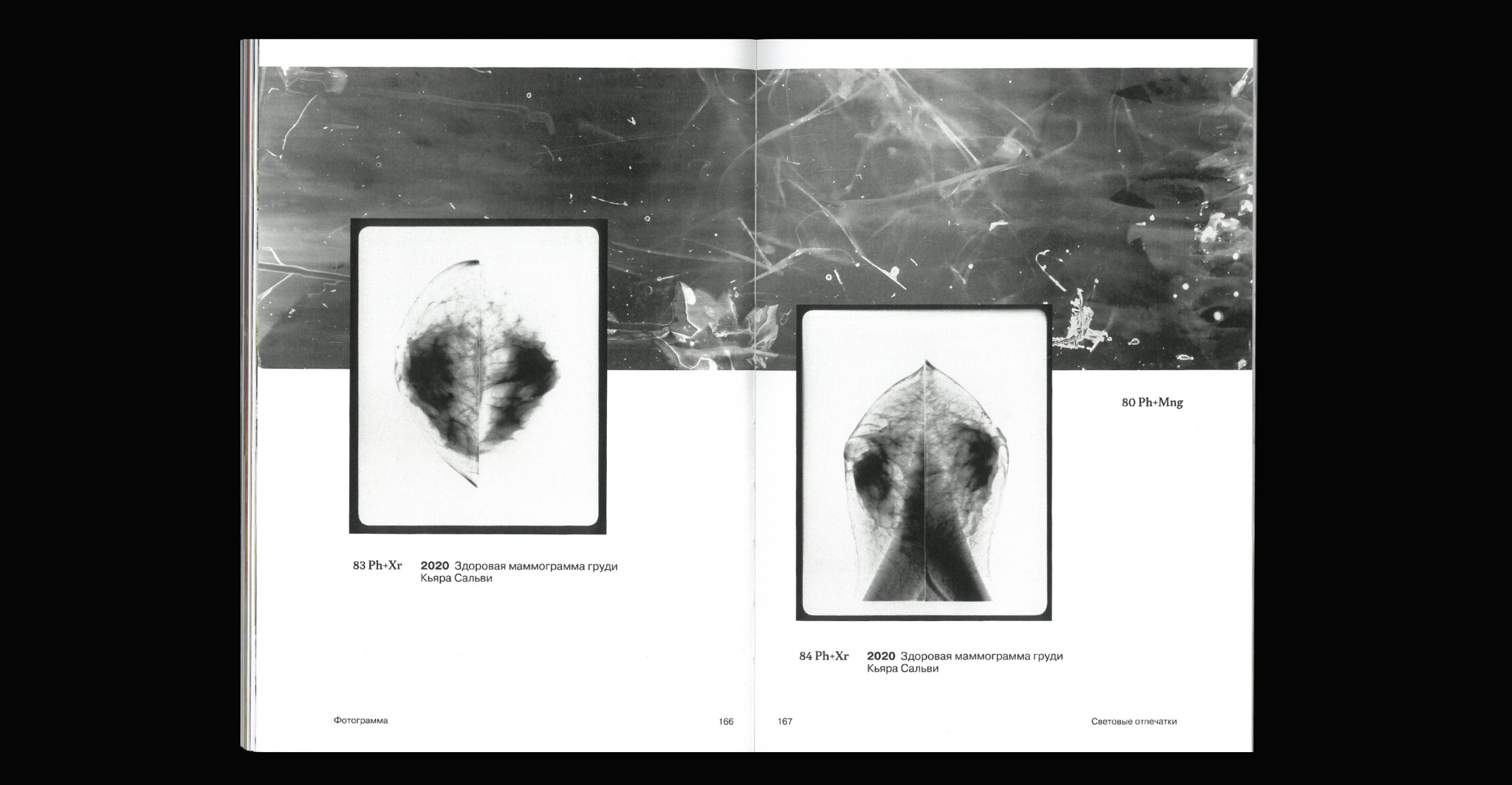 Light Prints // visual research // book design — Изображение №37 — Графика на Dprofile