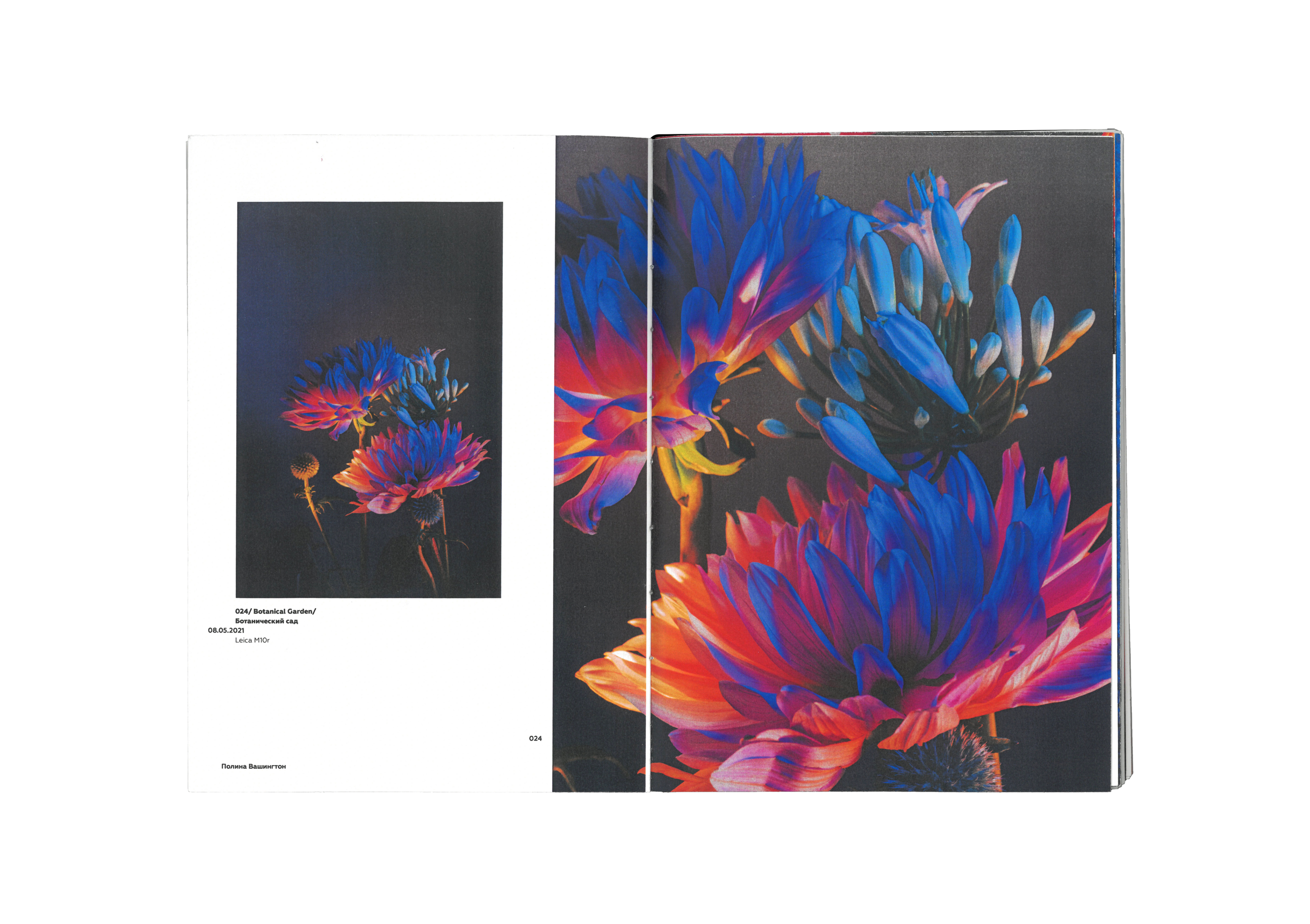 «Light and Color» // Polina Washington's catalog — Изображение №13 — Графика на Dprofile