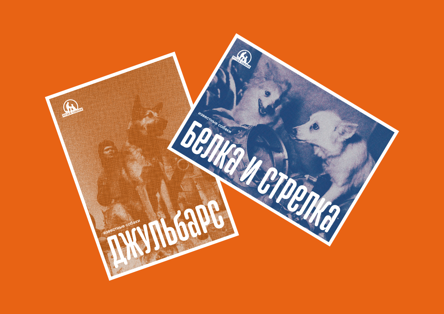 Музей собаки — Изображение №7 — Брендинг, Графика на Dprofile