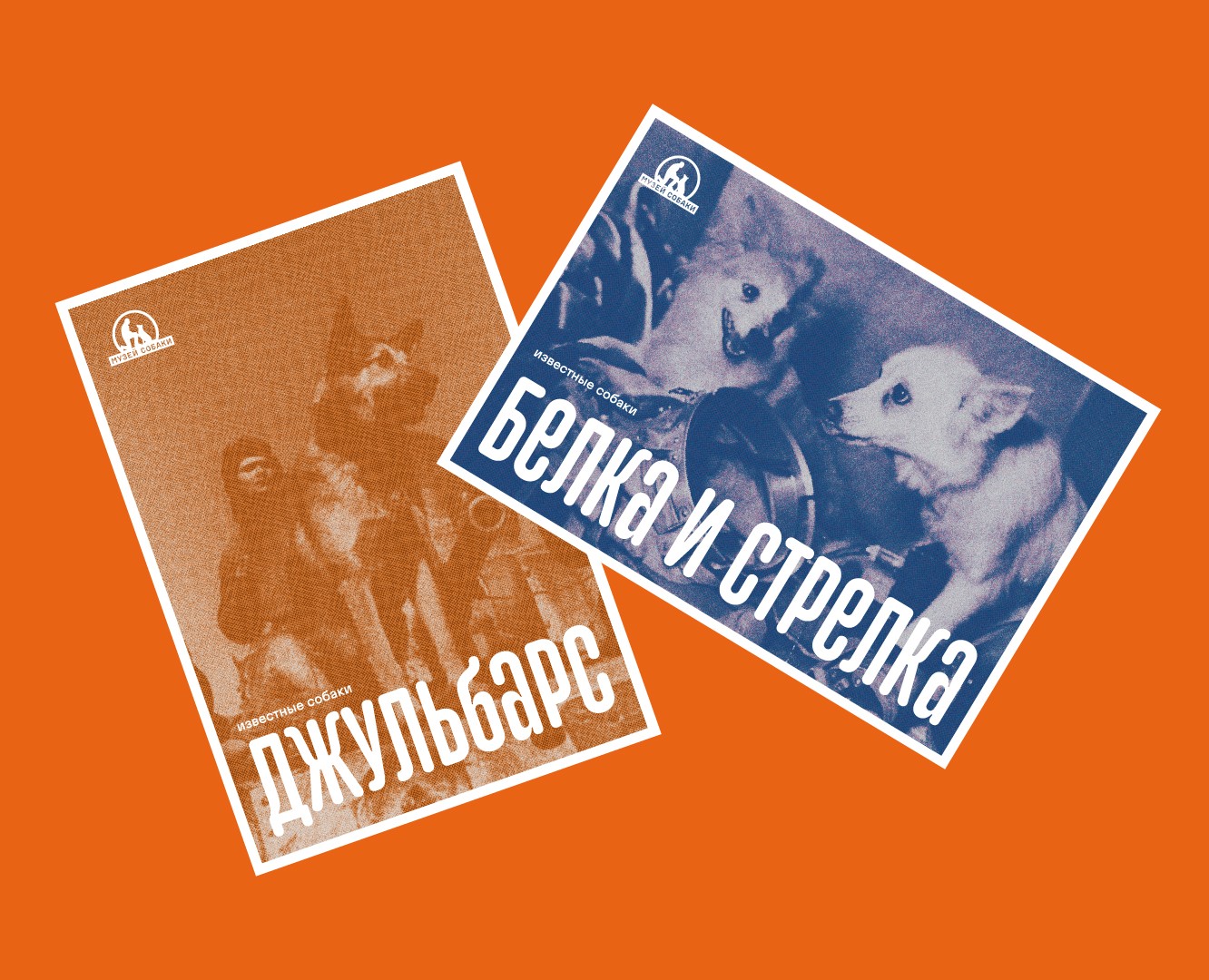 Музей собаки — Брендинг, Графика на Dprofile