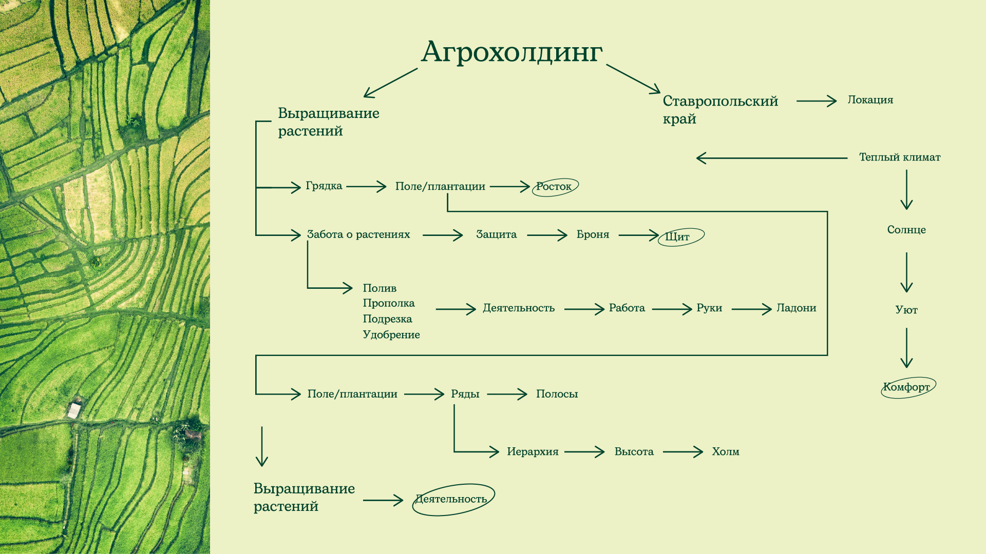 Groc | лого и фирменный стиль — Изображение №3 — Брендинг на Dprofile