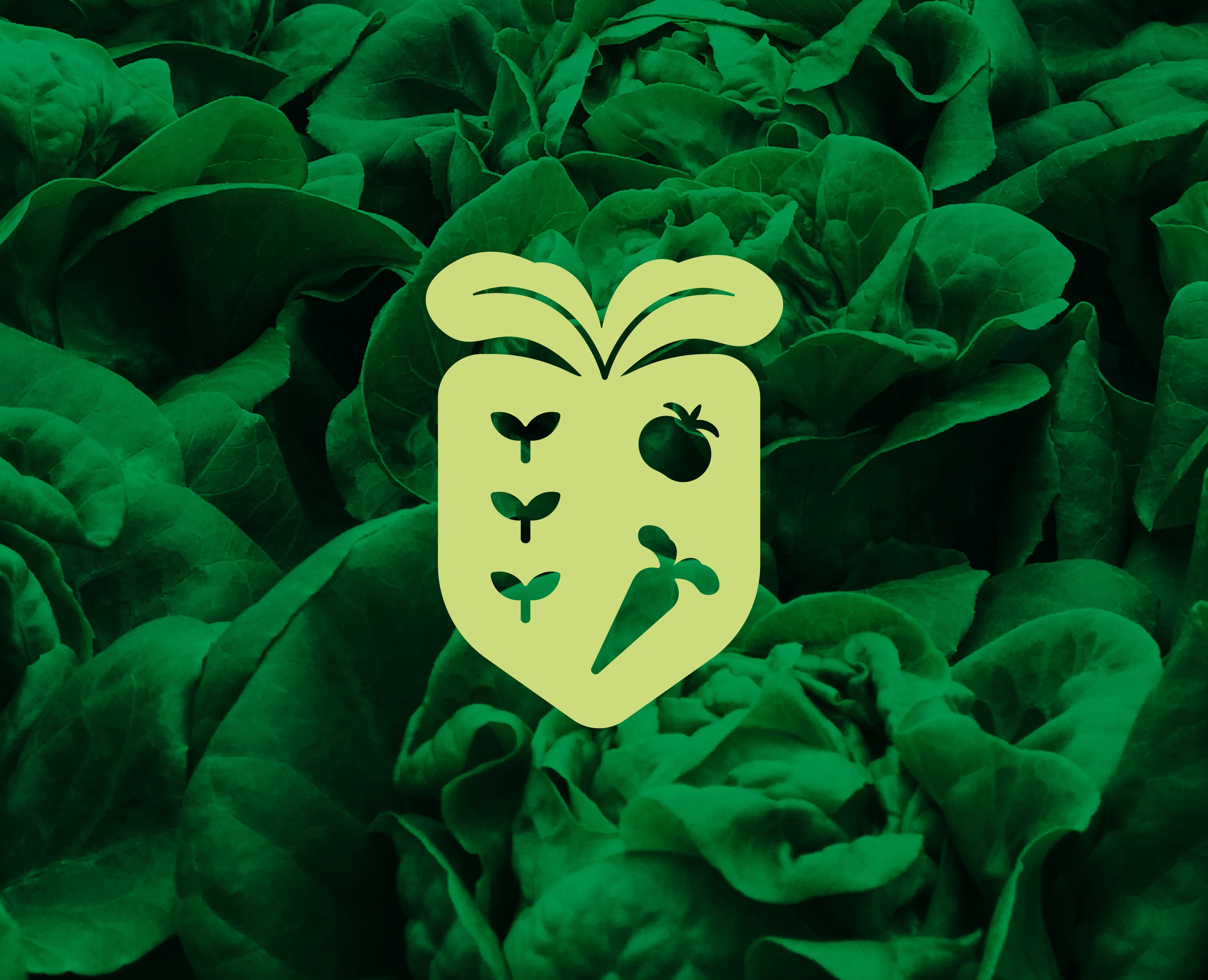 Groc | лого и фирменный стиль — Брендинг на Dprofile