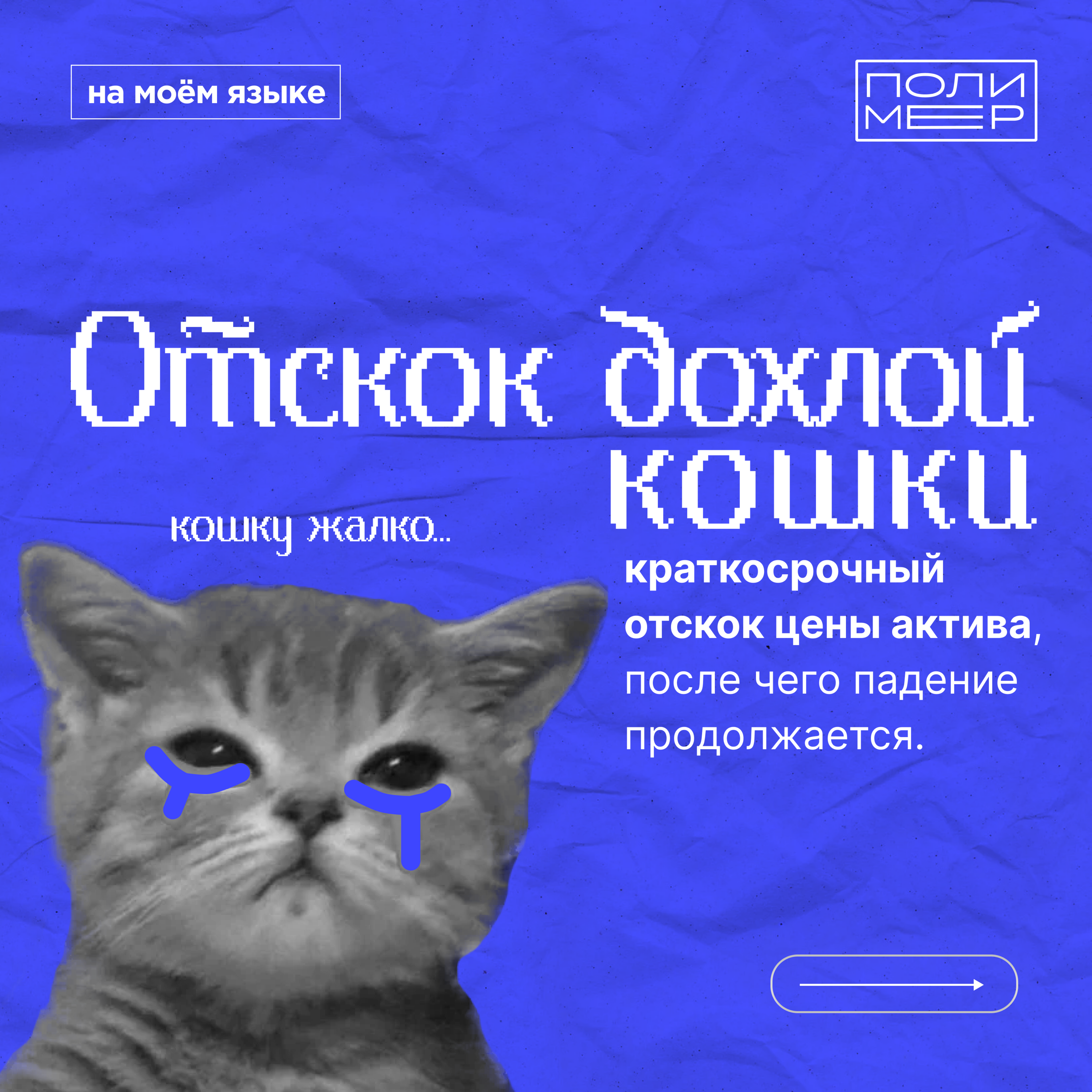 Посты в ВК для студенческого медиацентра — Изображение №11 — Брендинг, Графика на Dprofile
