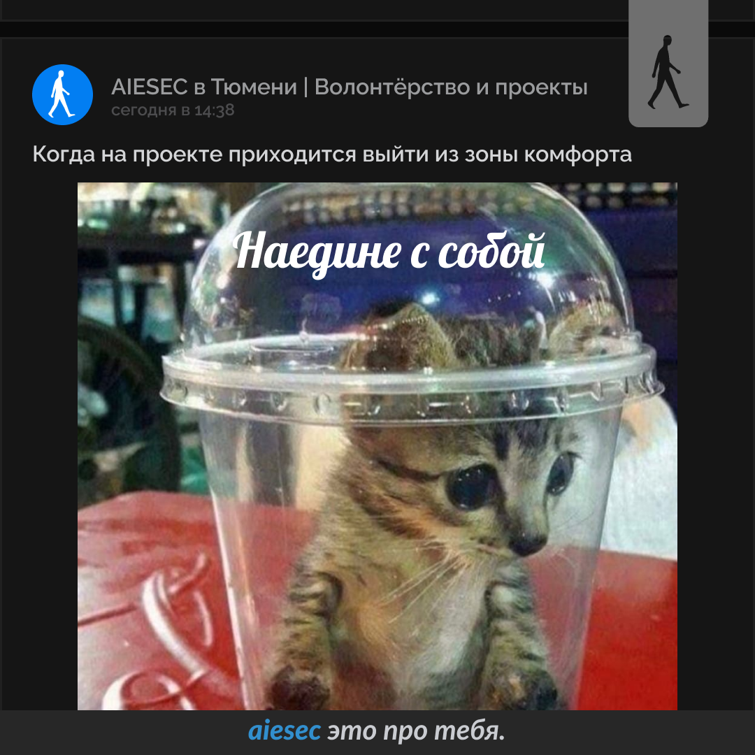 AIESEC SMM Projects — Изображение №4 — Маркетинг на Dprofile