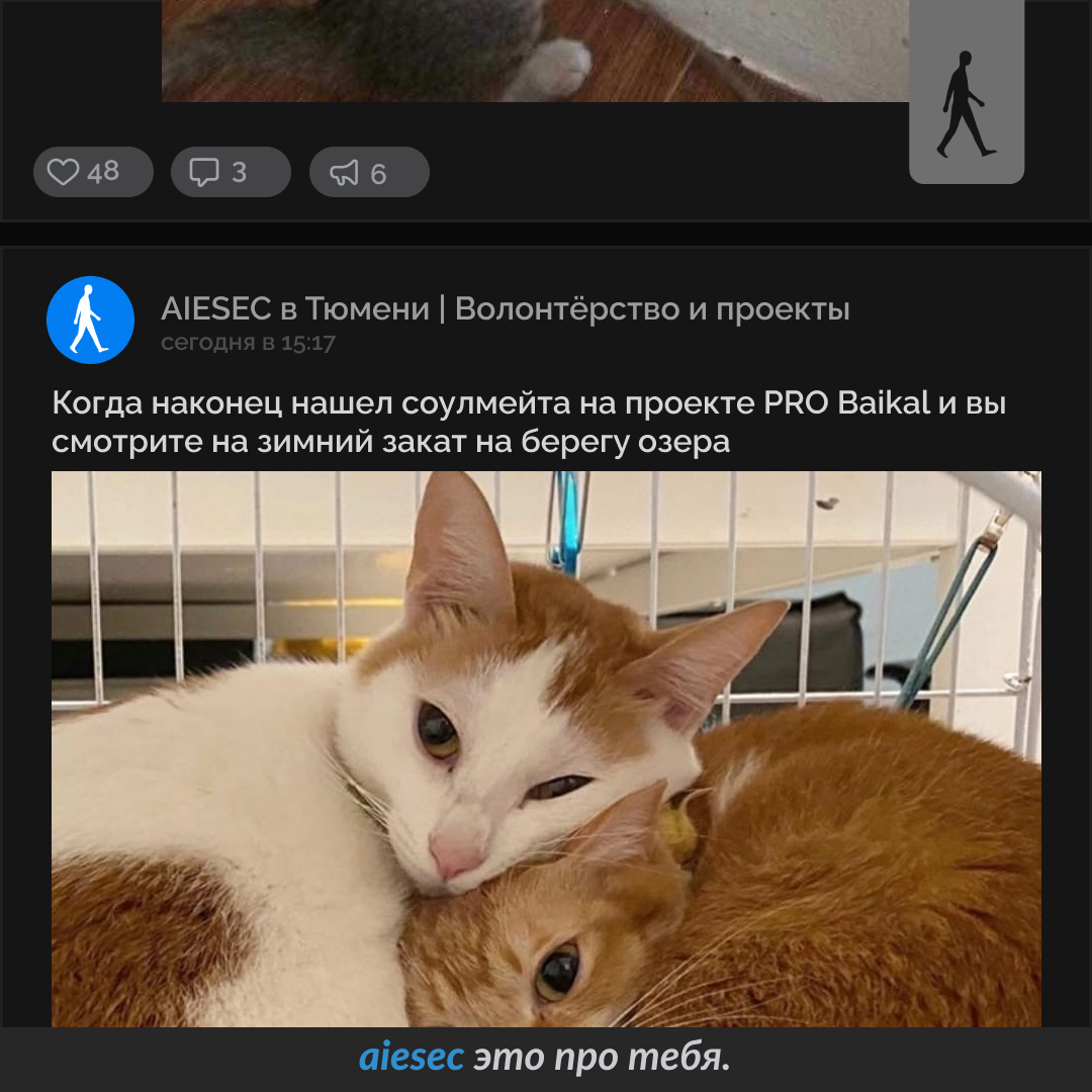 AIESEC SMM Projects — Изображение №6 — Маркетинг на Dprofile