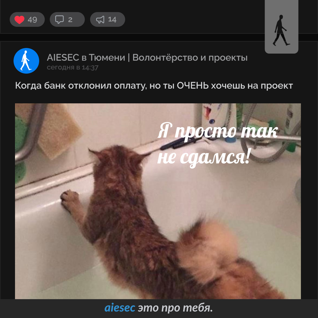 AIESEC SMM Projects — Изображение №3 — Маркетинг на Dprofile