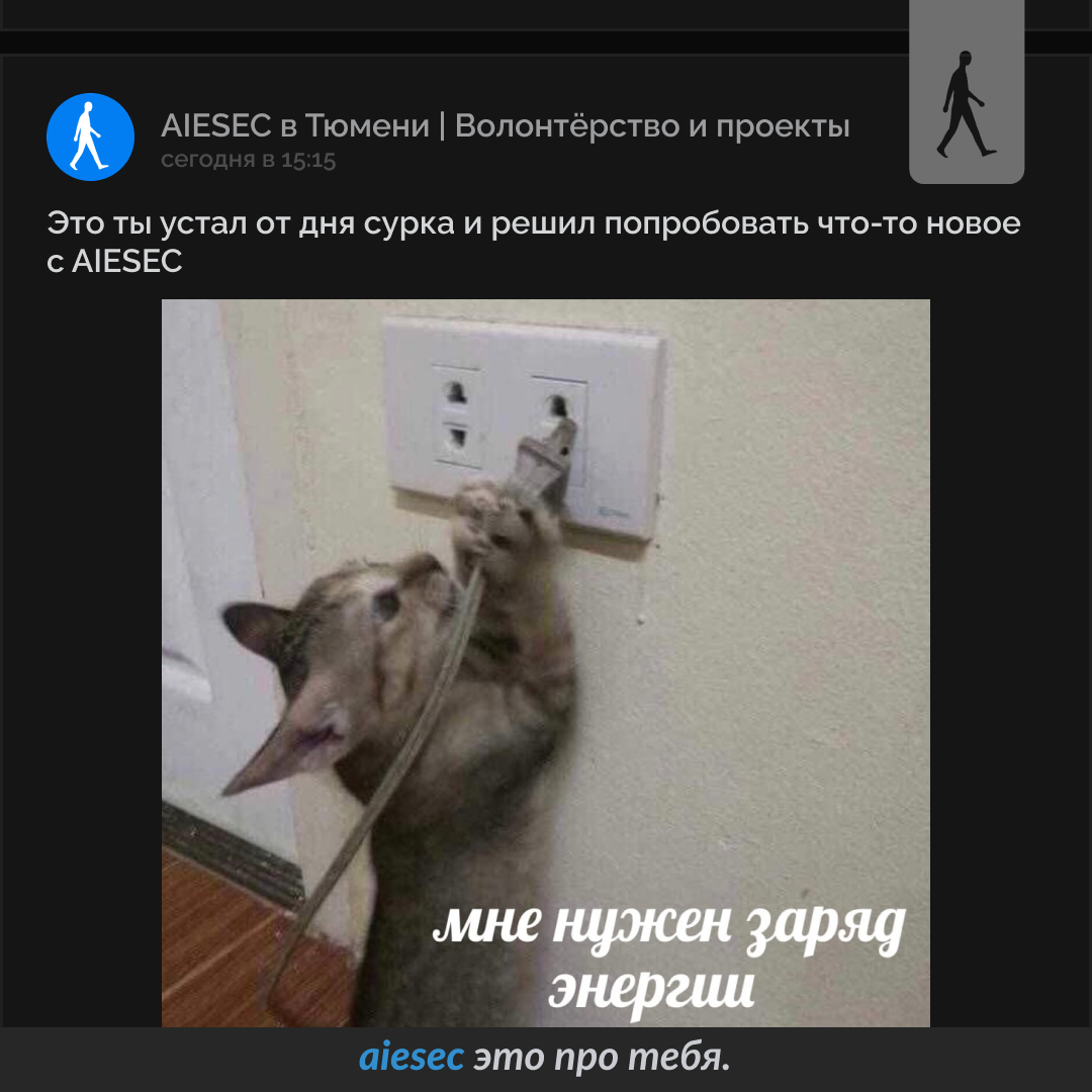 AIESEC SMM Projects — Изображение №5 — Маркетинг на Dprofile