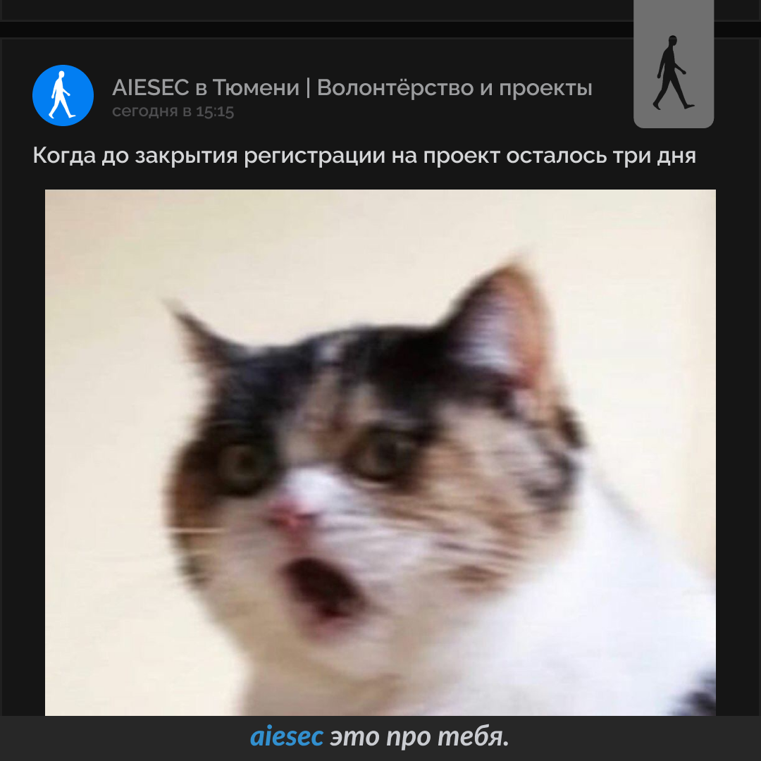 AIESEC SMM Projects — Изображение №8 — Маркетинг на Dprofile