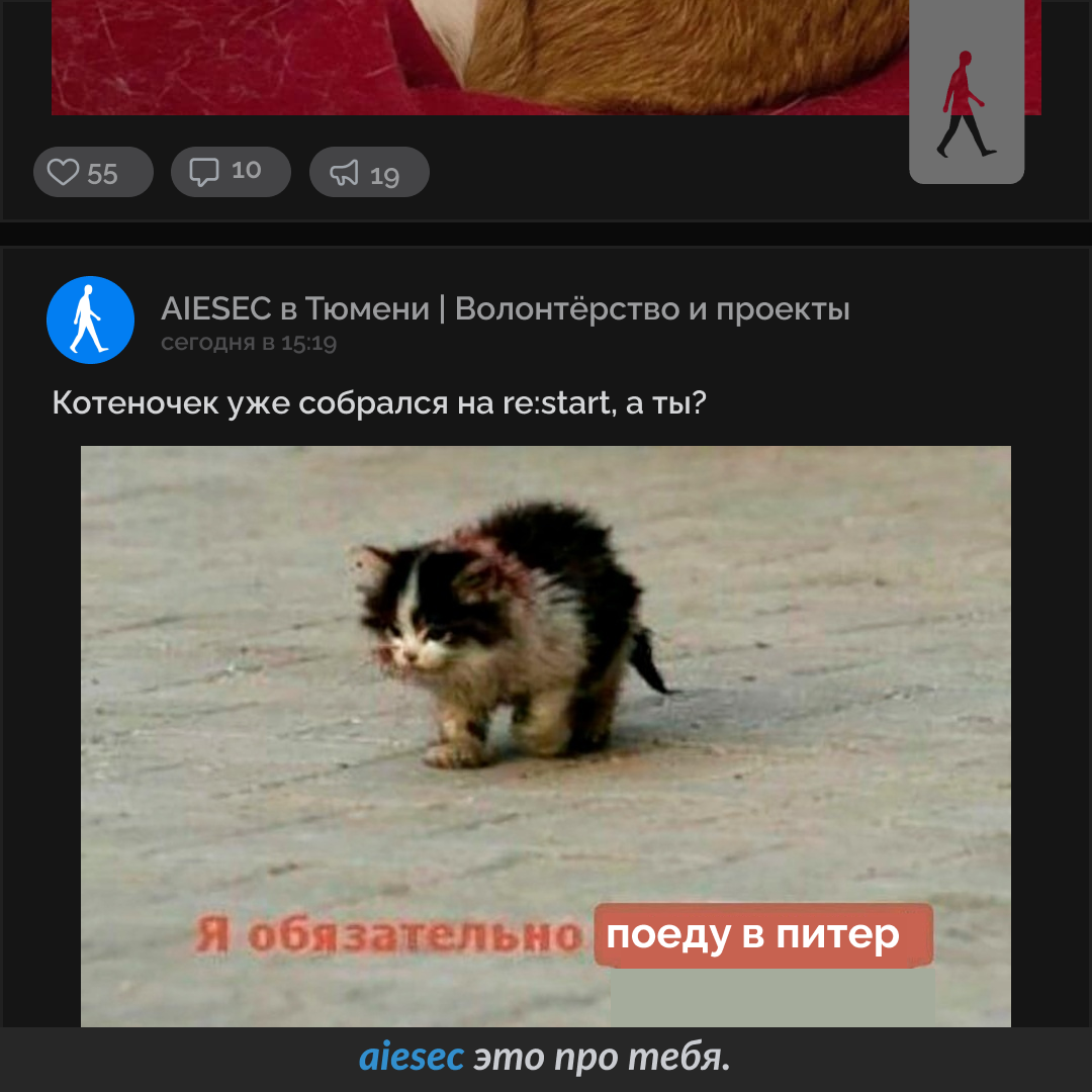 AIESEC SMM Projects — Изображение №7 — Маркетинг на Dprofile