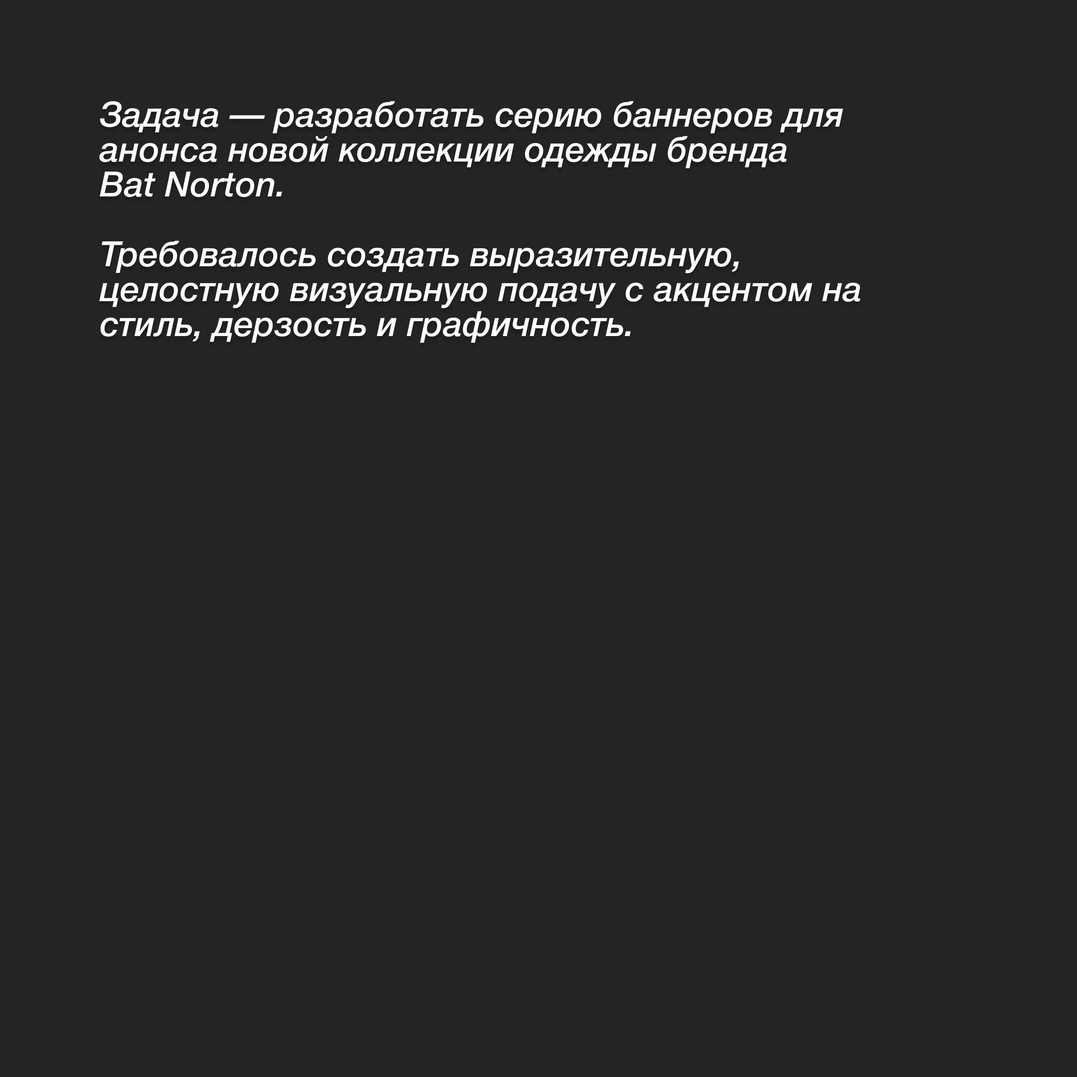 Тестовое задание для бренда Bat Norton — Изображение №1 — Графика, Маркетинг на Dprofile