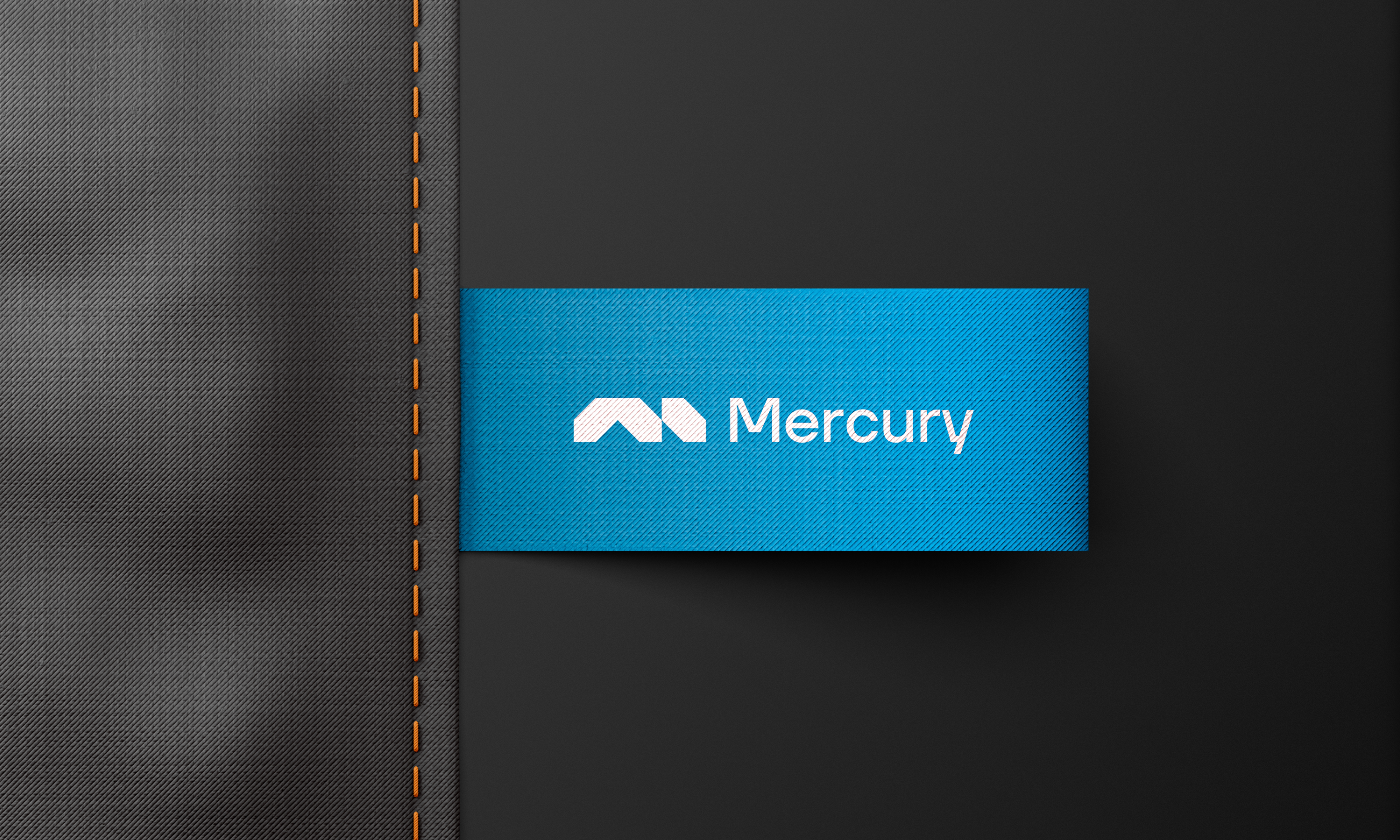 Mercury - Brand Identity — Изображение №10 — Брендинг, Графика на Dprofile
