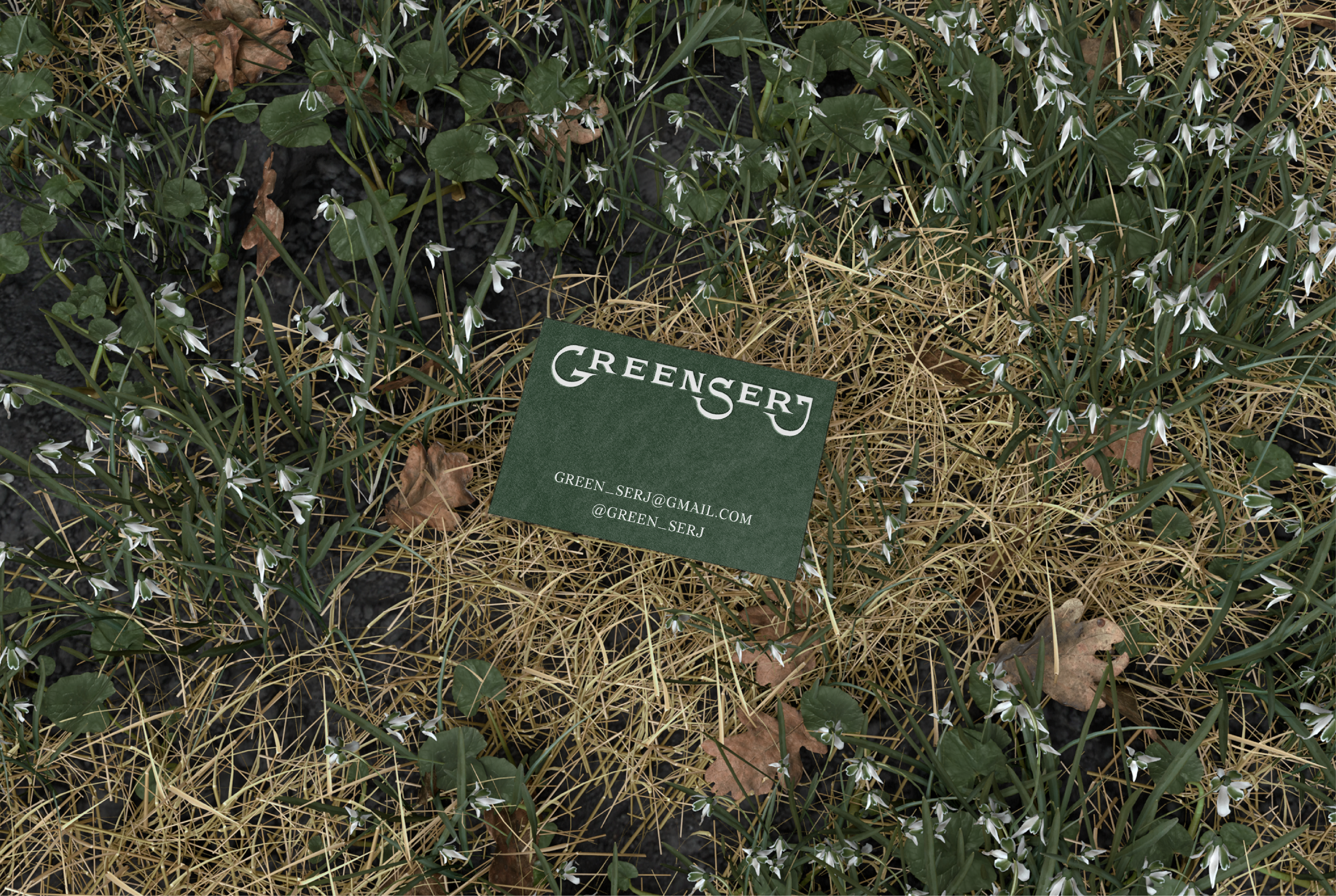 GREENSERJ. Логотип и фирменный стиль для фотохудожника — Изображение №10 — Брендинг на Dprofile