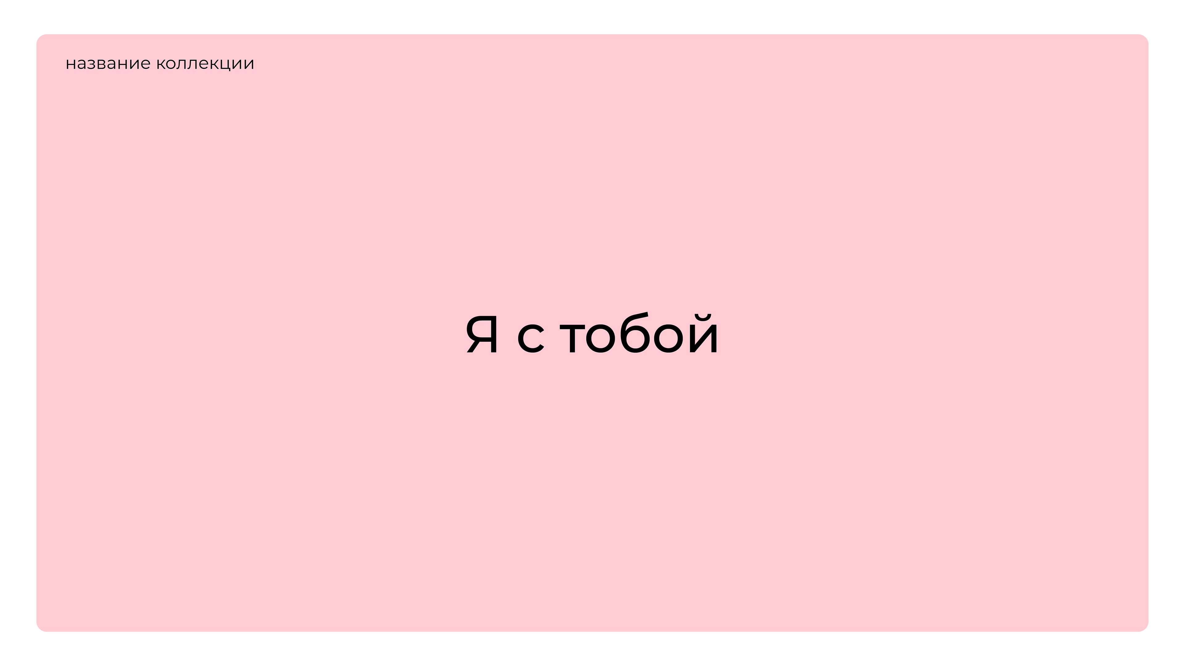 Мерч для владельцев домашних животных — Изображение №2 — Брендинг, Иллюстрация на Dprofile