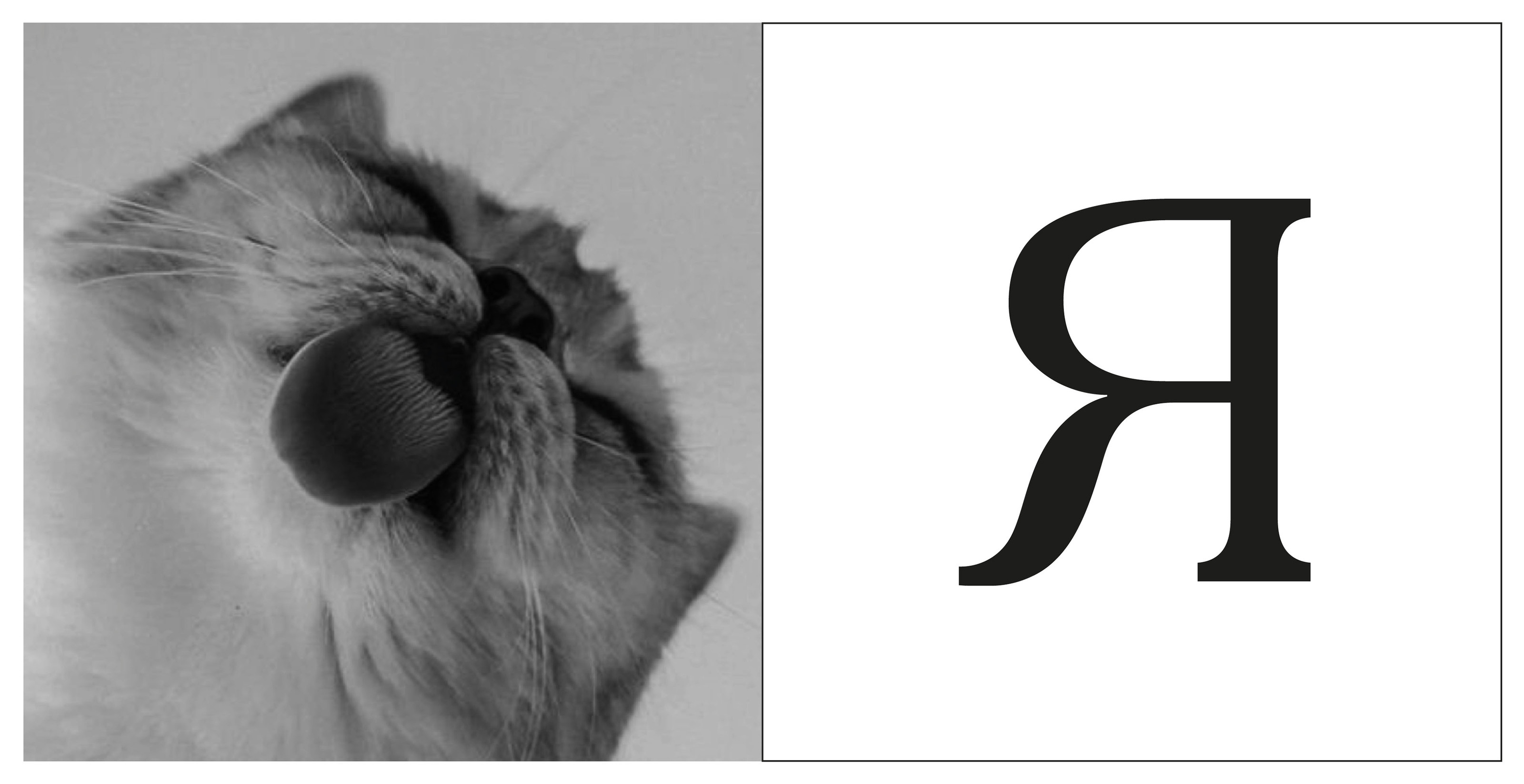 Азбука (для типографа) — Изображение №31 — Графика на Dprofile