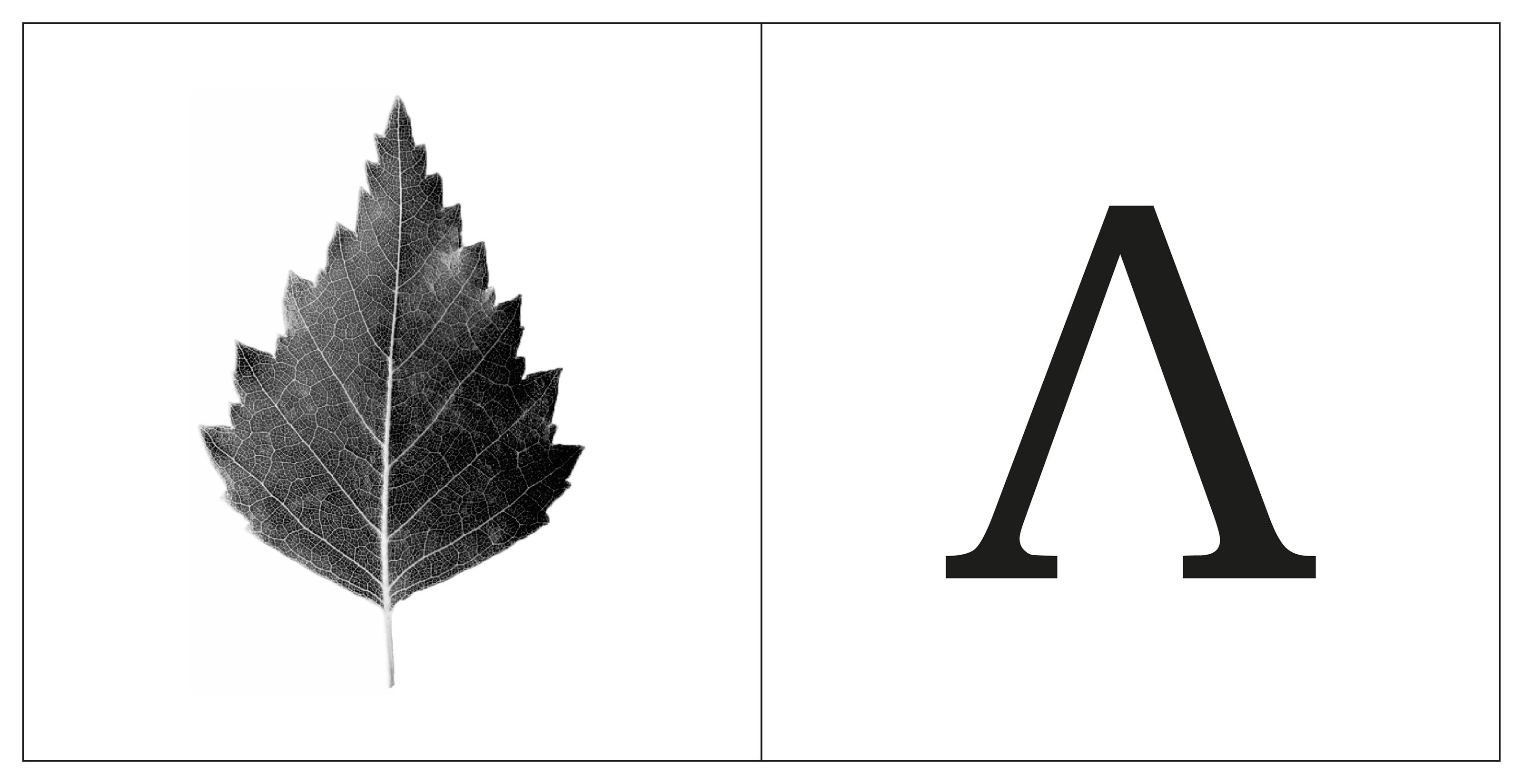 Азбука (для типографа) — Изображение №14 — Графика на Dprofile