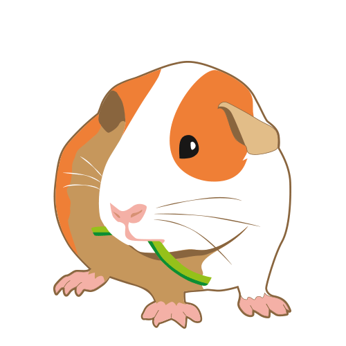Giff stickers for Instagram stories — Изображение №4 — Иллюстрация, Маркетинг на Dprofile